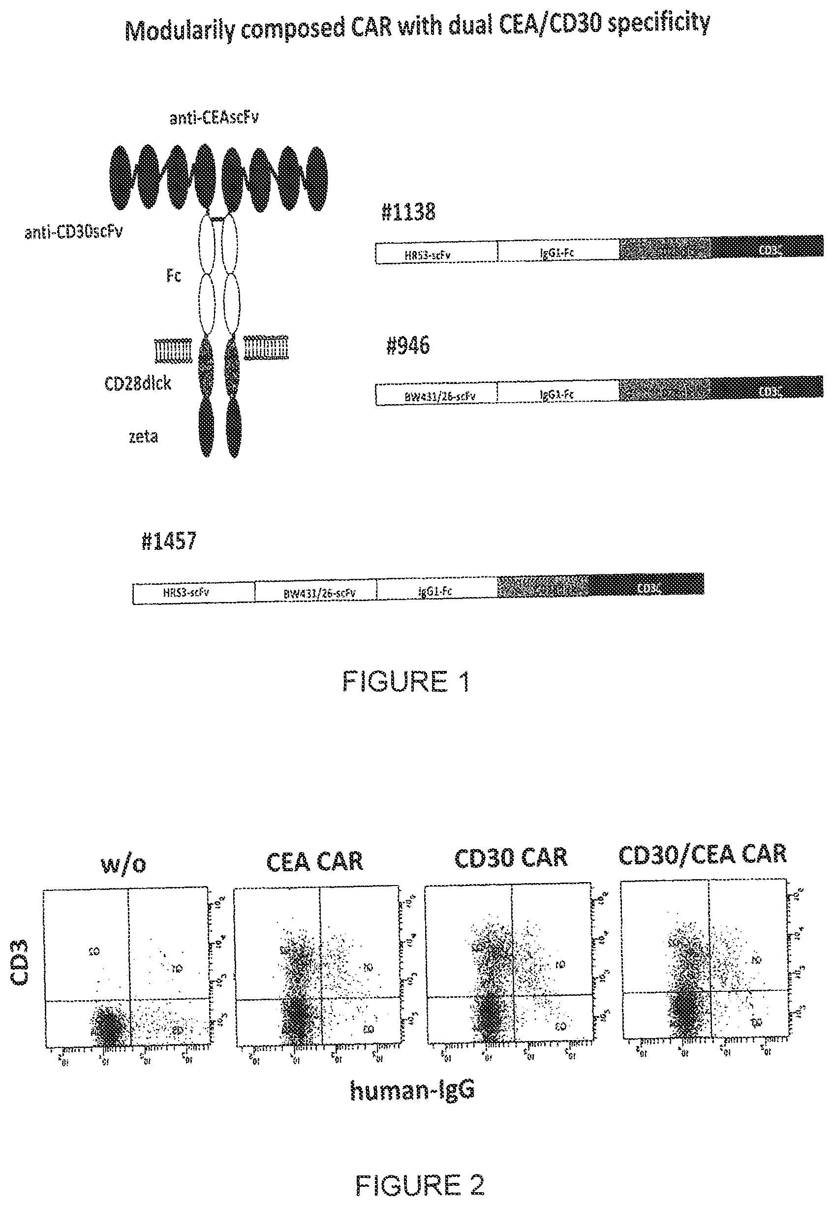 Patent US12410248 Figure 1 – Chimeric antigen receptor and its use