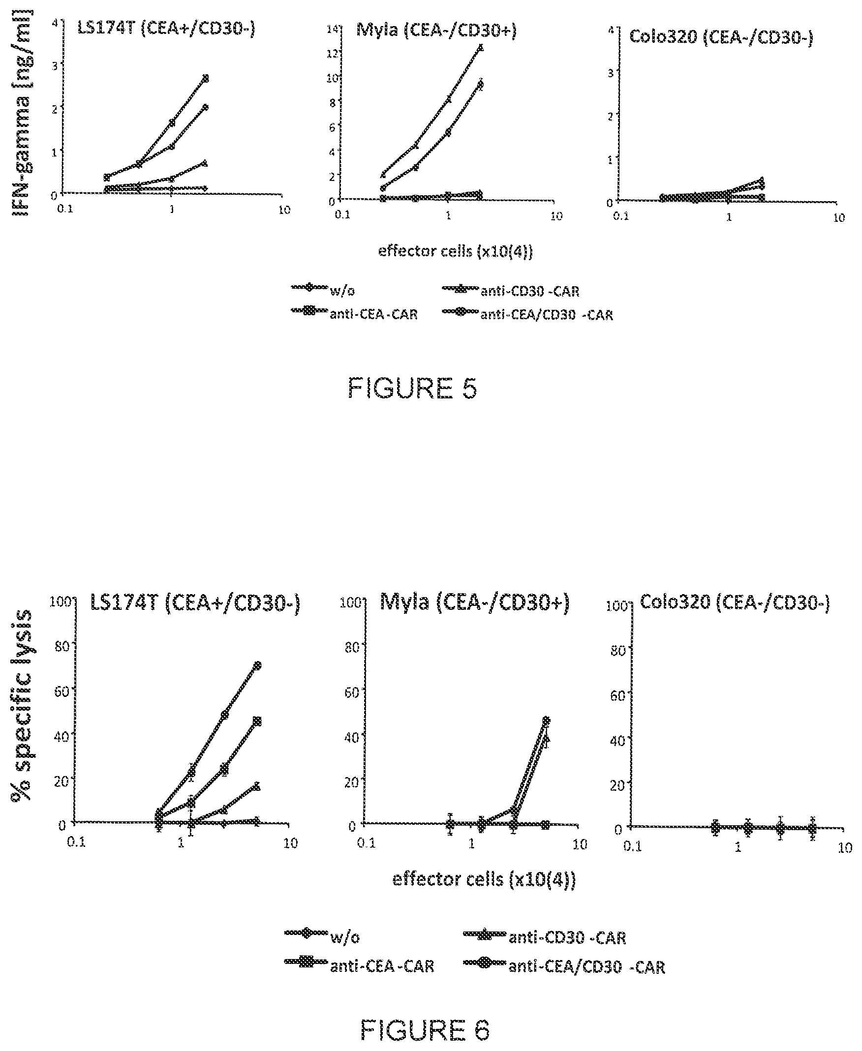 Patent US12410248 Figure 3 – Chimeric antigen receptor and its use