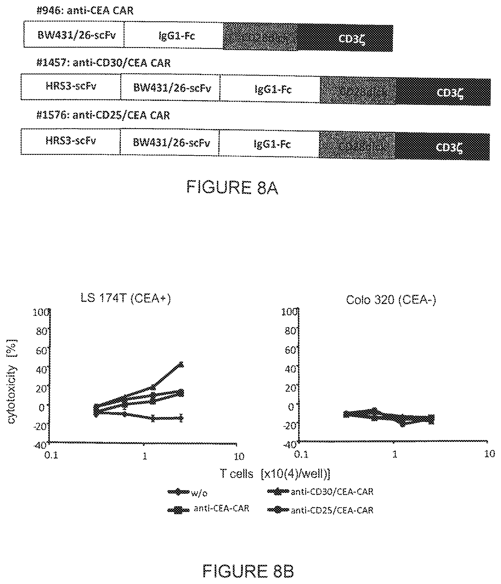 Patent US12410248 Figure 5 – Chimeric antigen receptor and its use
