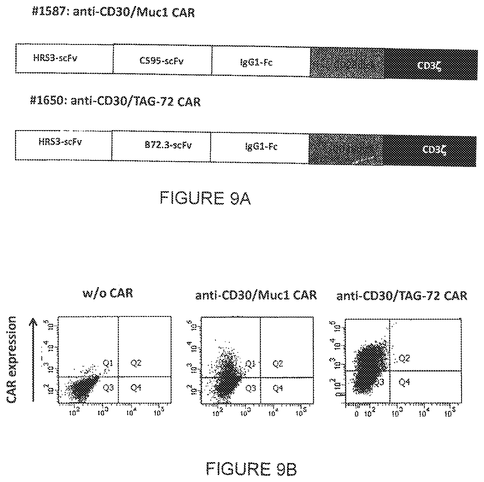 Patent US12410248 Figure 6 – Chimeric antigen receptor and its use