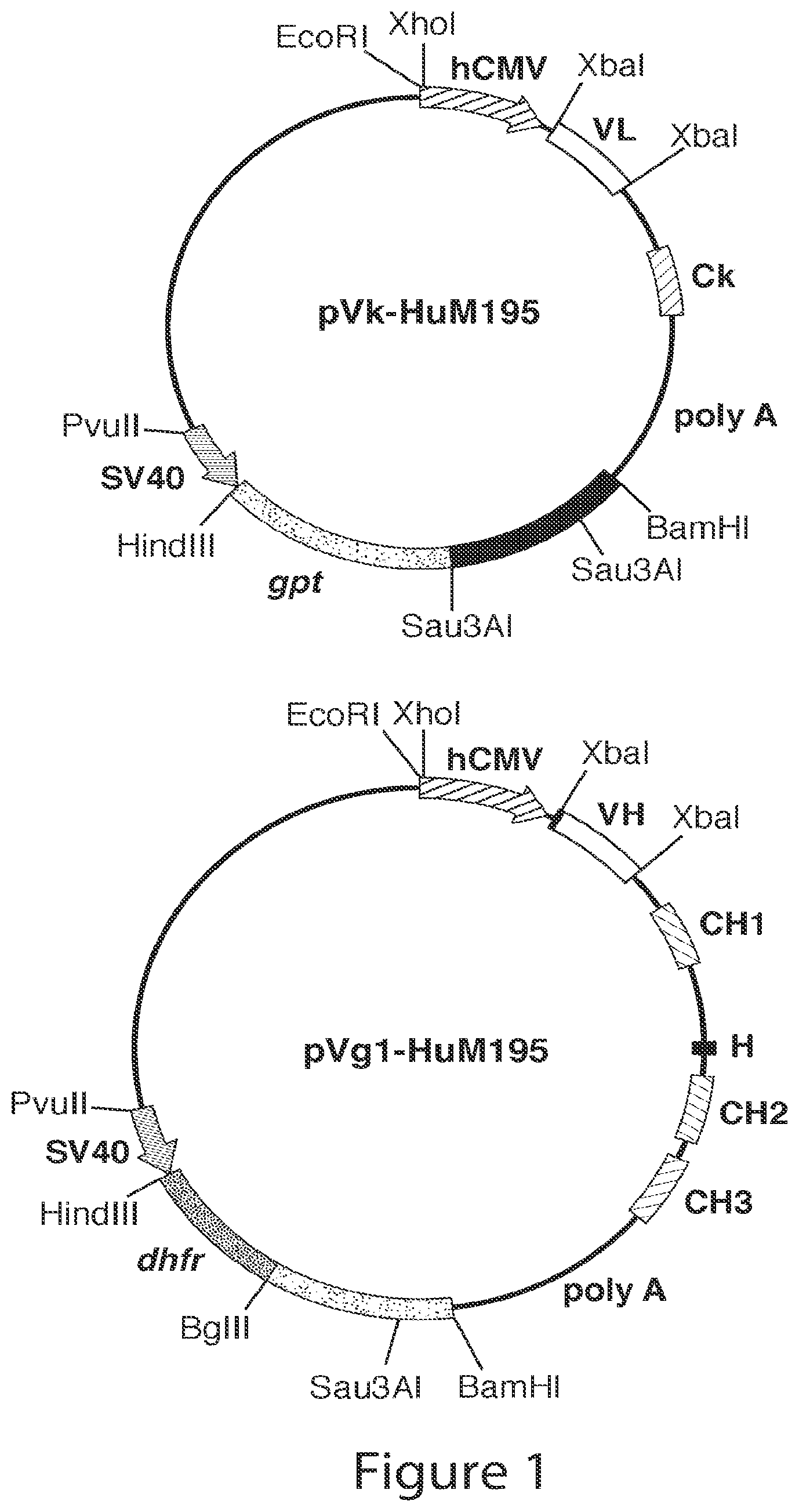 Patent US12410249 Figure 1 – Low dose antibody-based methods for treating hematologic malignancies