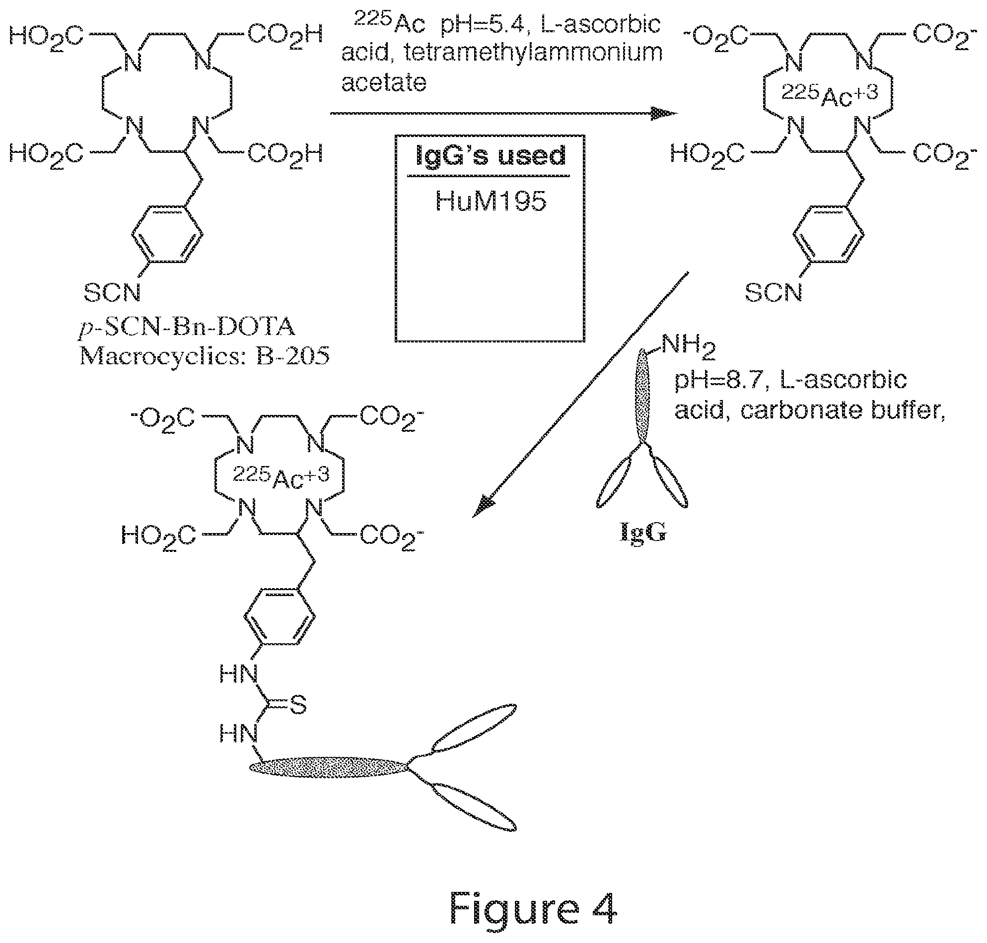 Patent US12410249 Figure 5 – Low dose antibody-based methods for treating hematologic malignancies