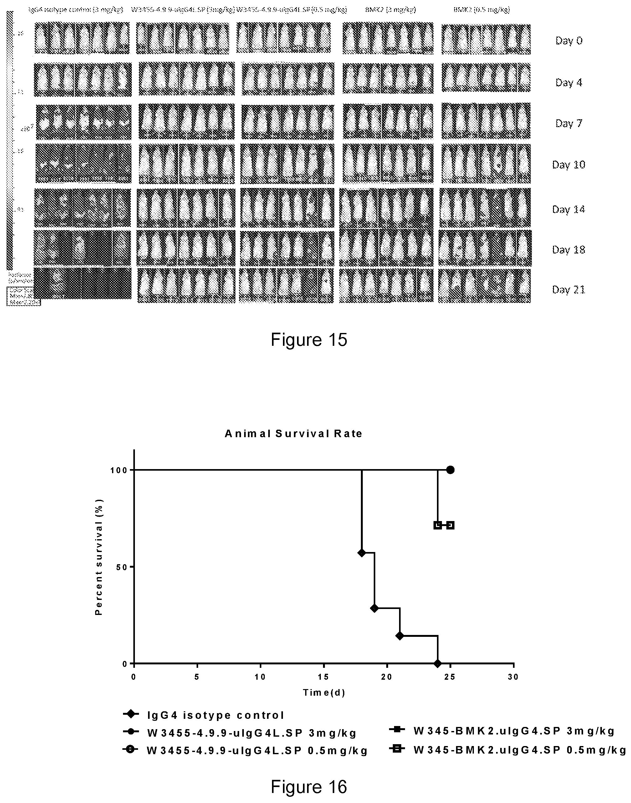 Patent US12410250 Figure 9 – Anti-CD47 antibodies and uses thereof