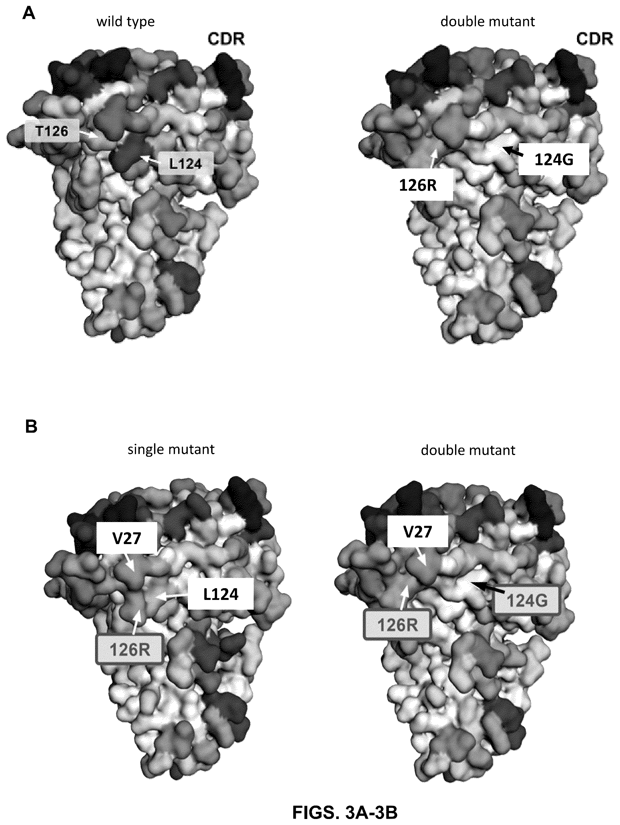 Patent US12410252 Figure 3 – Anti-PD-1 immunoglobulin polypeptides and uses thereof