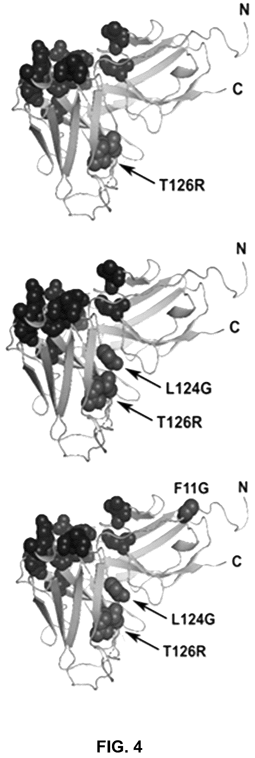Patent US12410252 Figure 4 – Anti-PD-1 immunoglobulin polypeptides and uses thereof