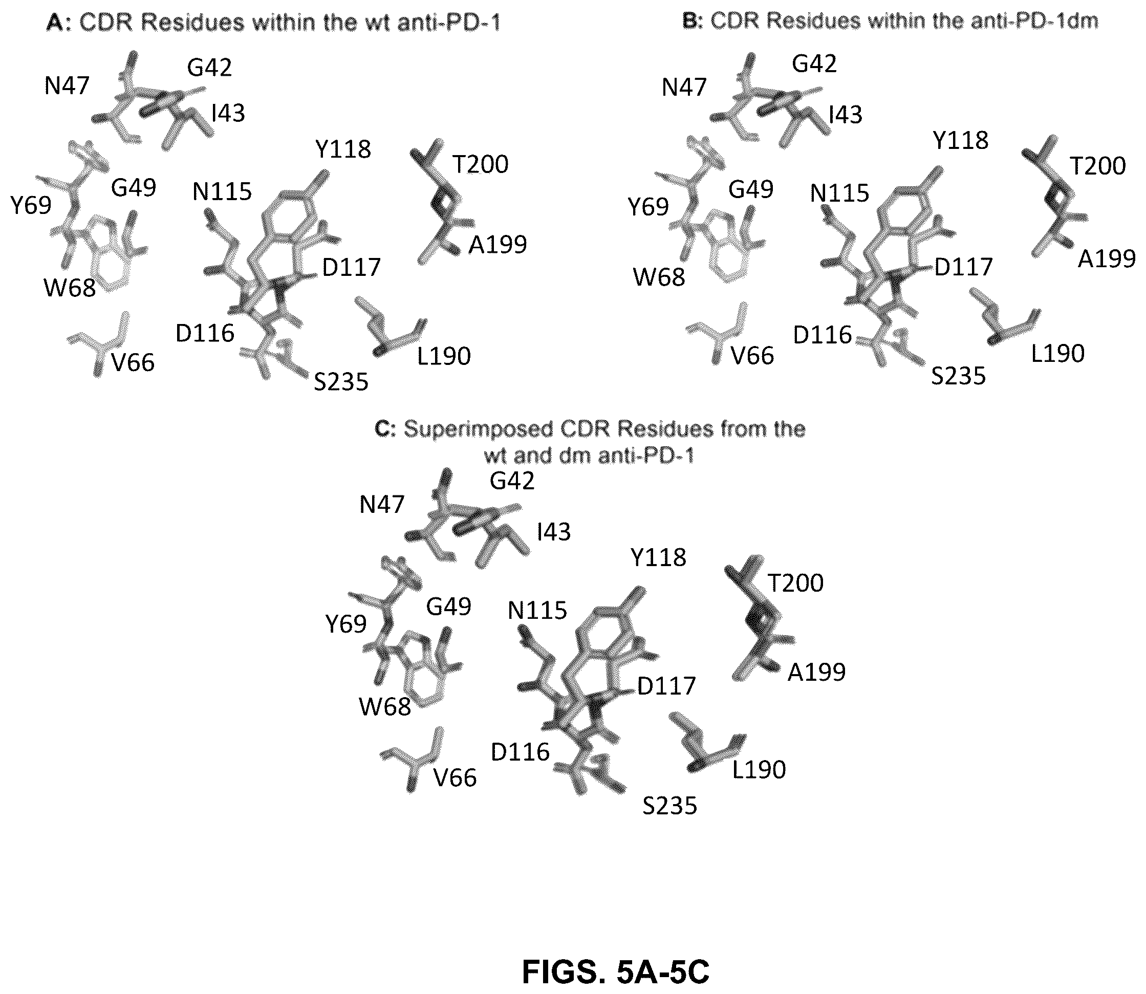 Patent US12410252 Figure 5 – Anti-PD-1 immunoglobulin polypeptides and uses thereof