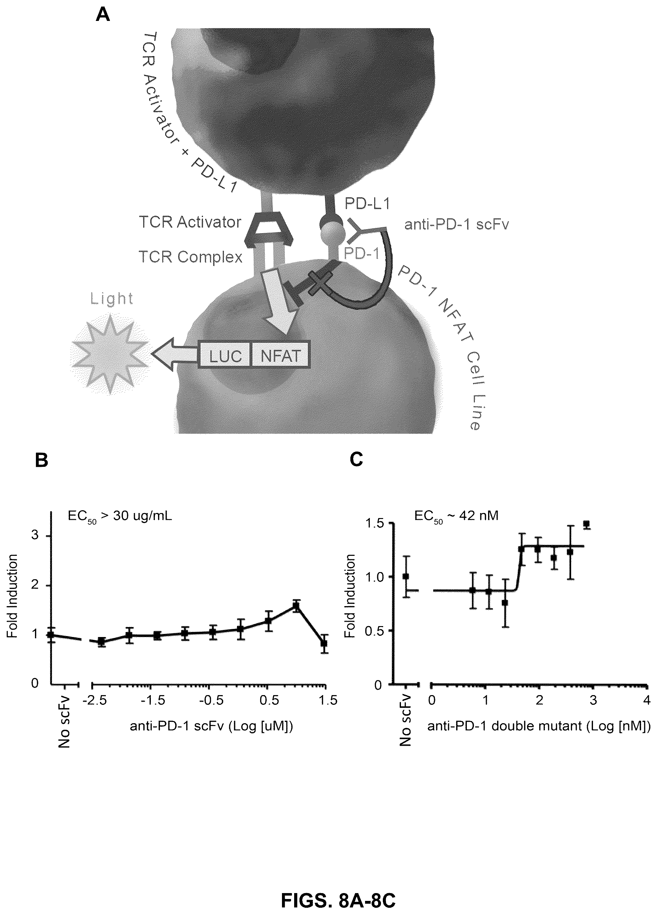 Patent US12410252 Figure 8 – Anti-PD-1 immunoglobulin polypeptides and uses thereof
