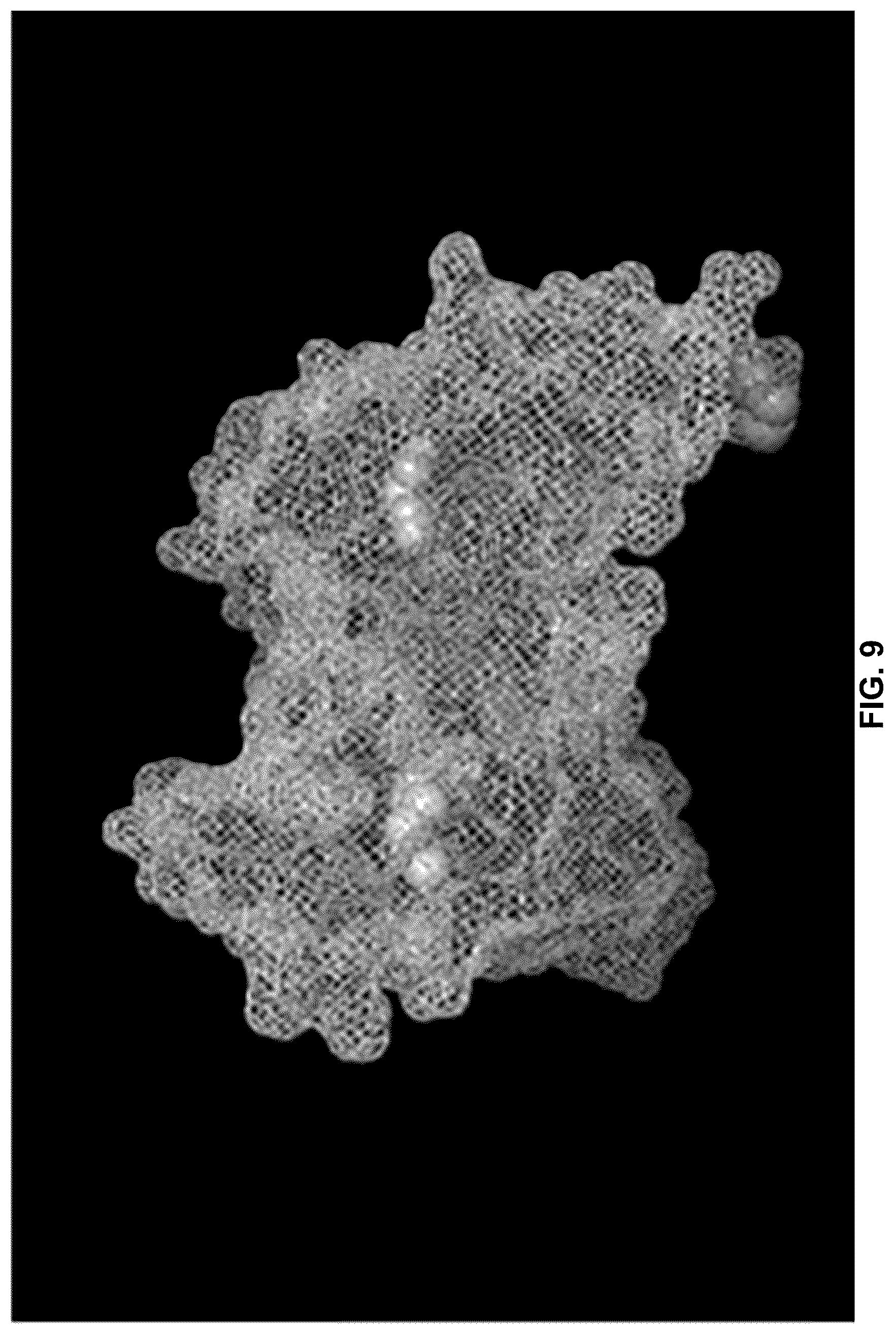 Patent US12410252 Figure 9 – Anti-PD-1 immunoglobulin polypeptides and uses thereof