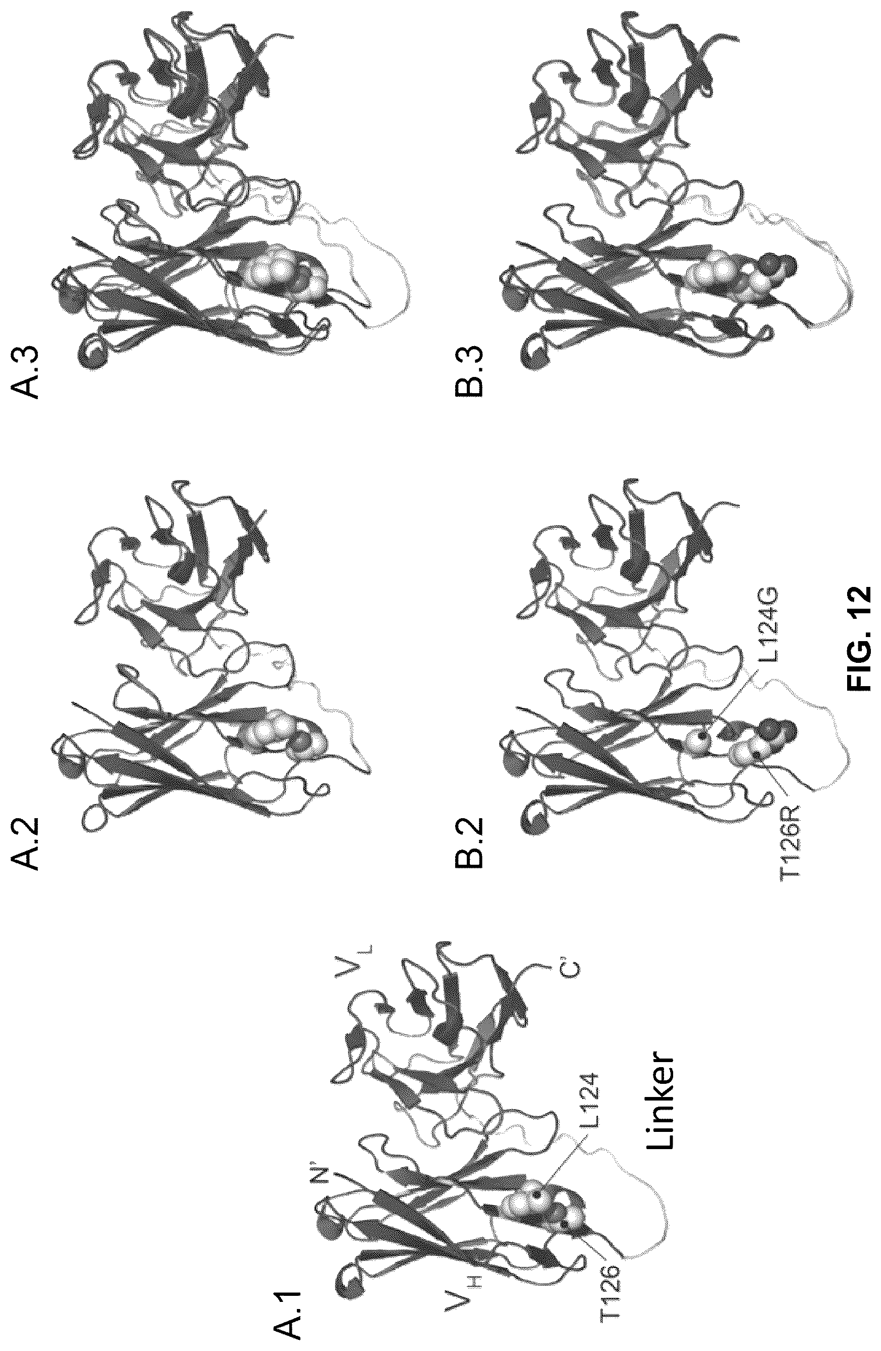 Patent US12410252 Figure 12 – Anti-PD-1 immunoglobulin polypeptides and uses thereof