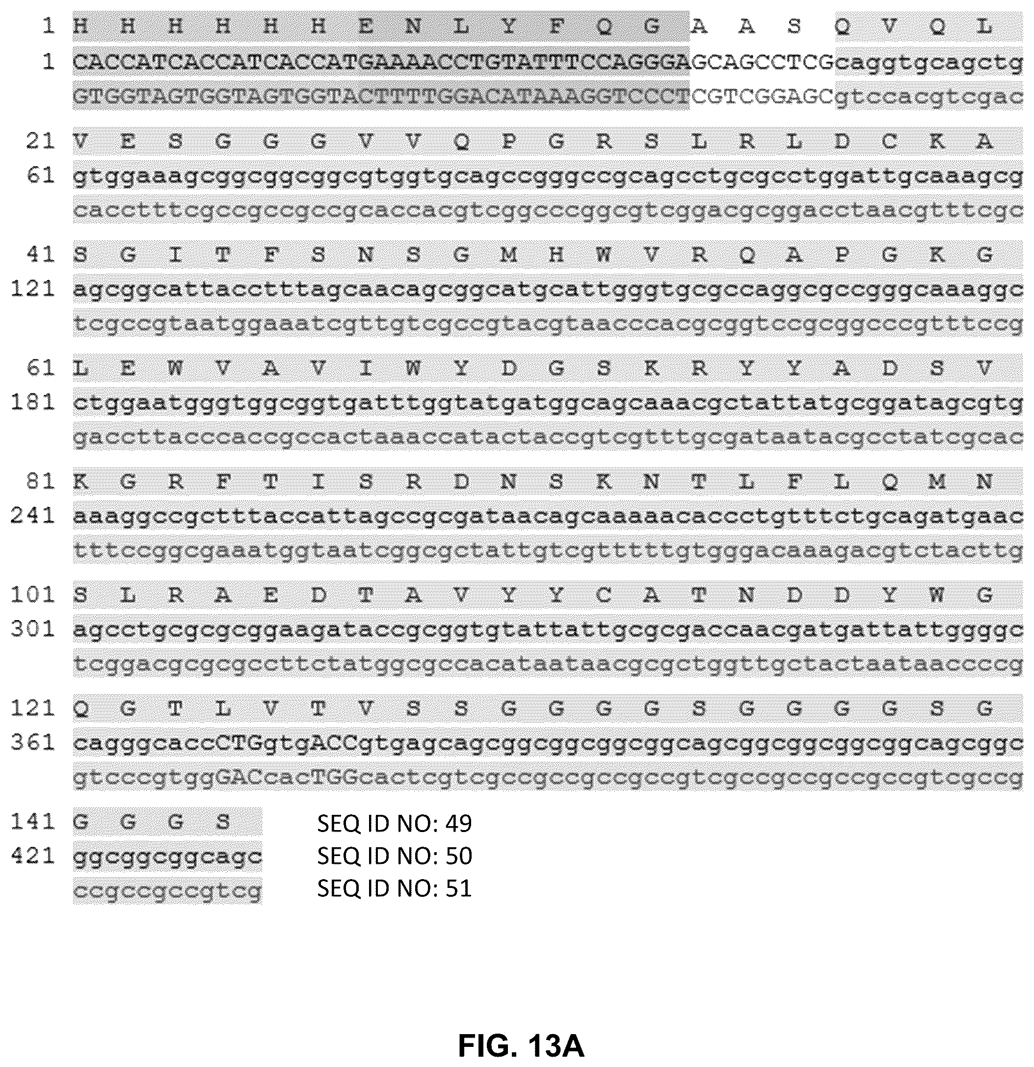 Patent US12410252 Figure 13 – Anti-PD-1 immunoglobulin polypeptides and uses thereof
