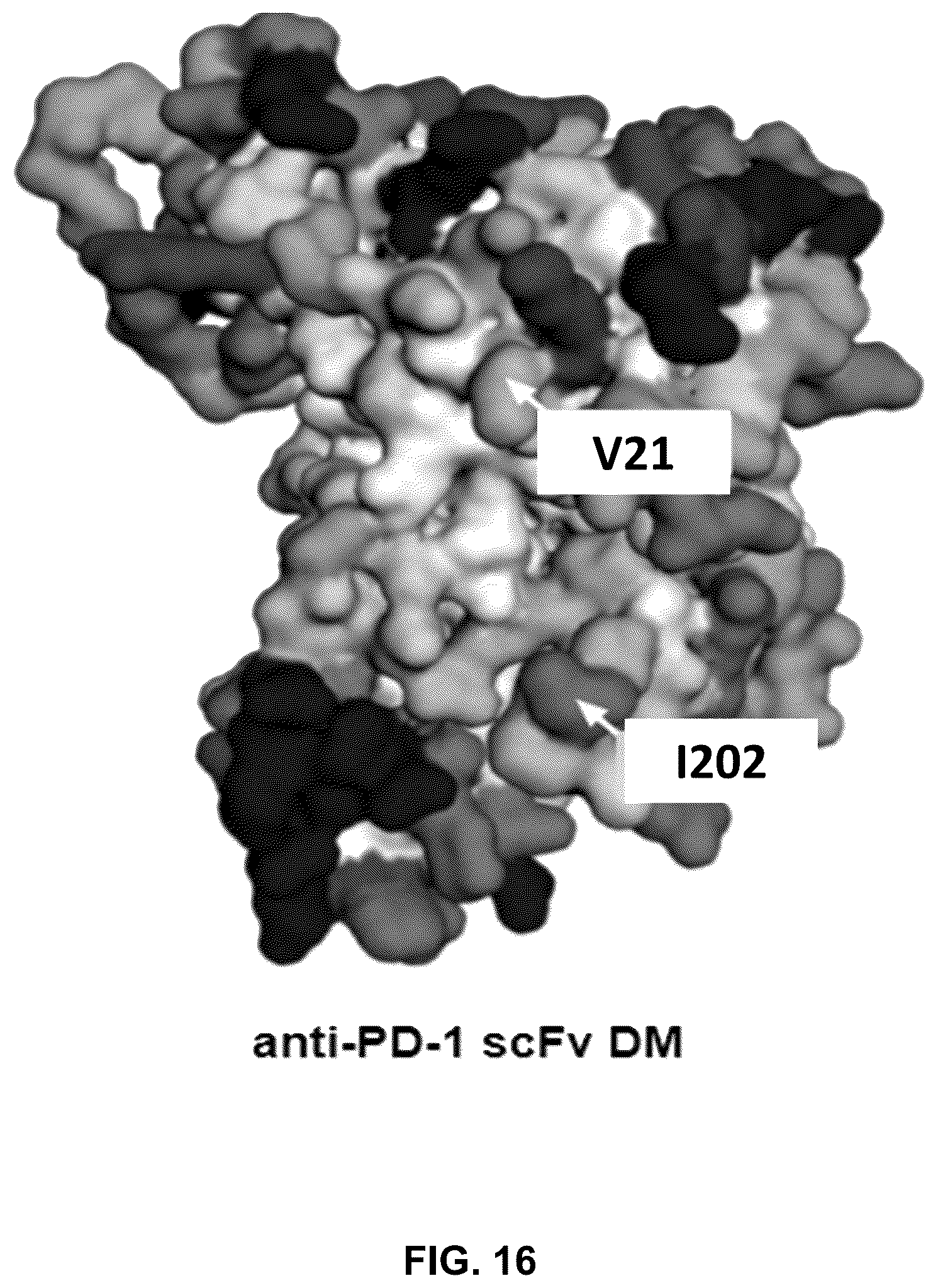 Patent US12410252 Figure 18 – Anti-PD-1 immunoglobulin polypeptides and uses thereof