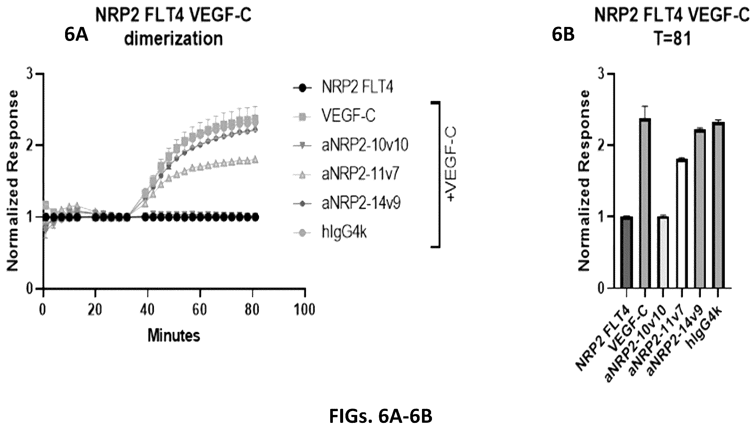 Patent US12410253 Figure 6 – Compositions comprising anti-NRP2 antibodies