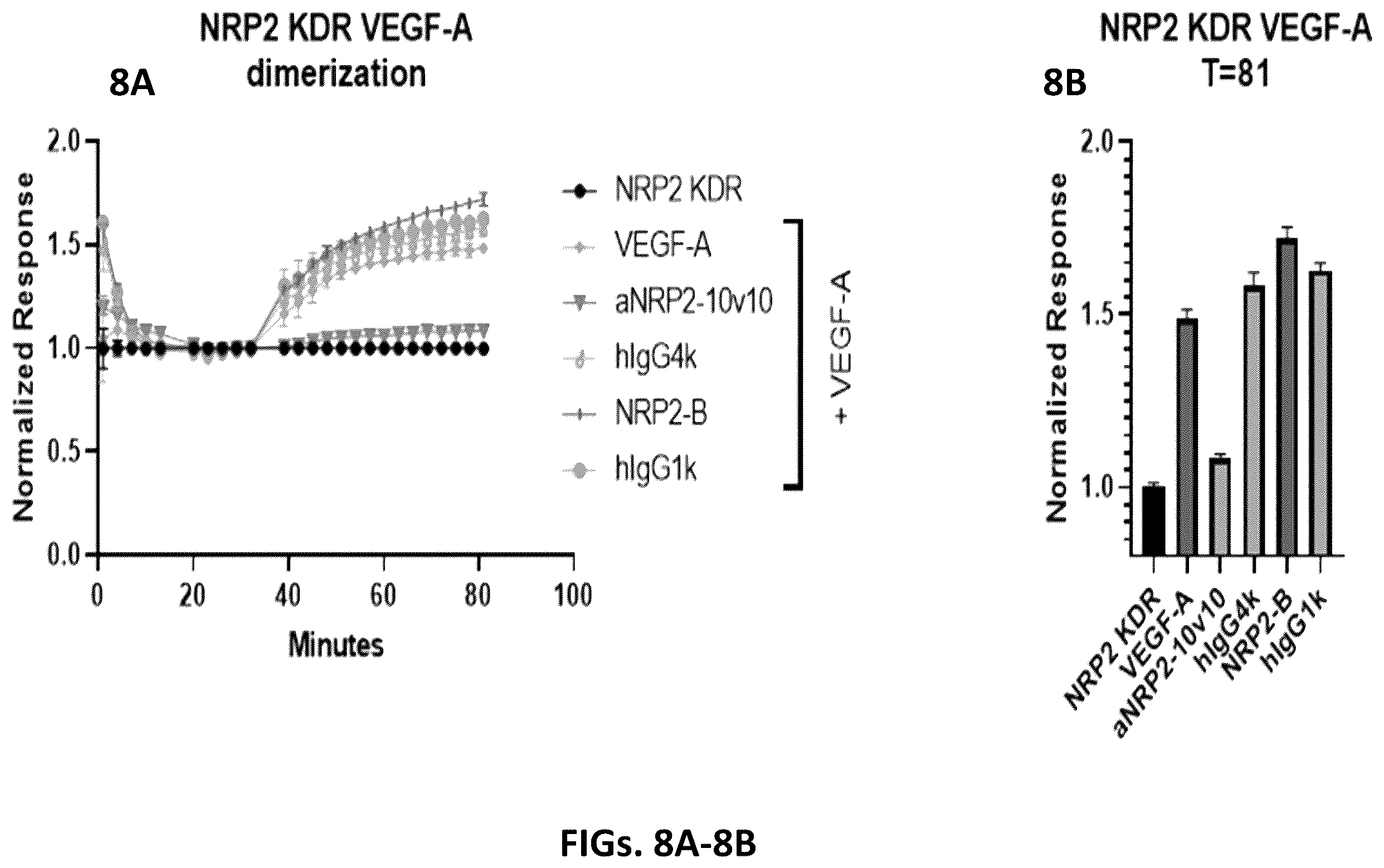 Patent US12410253 Figure 8 – Compositions comprising anti-NRP2 antibodies