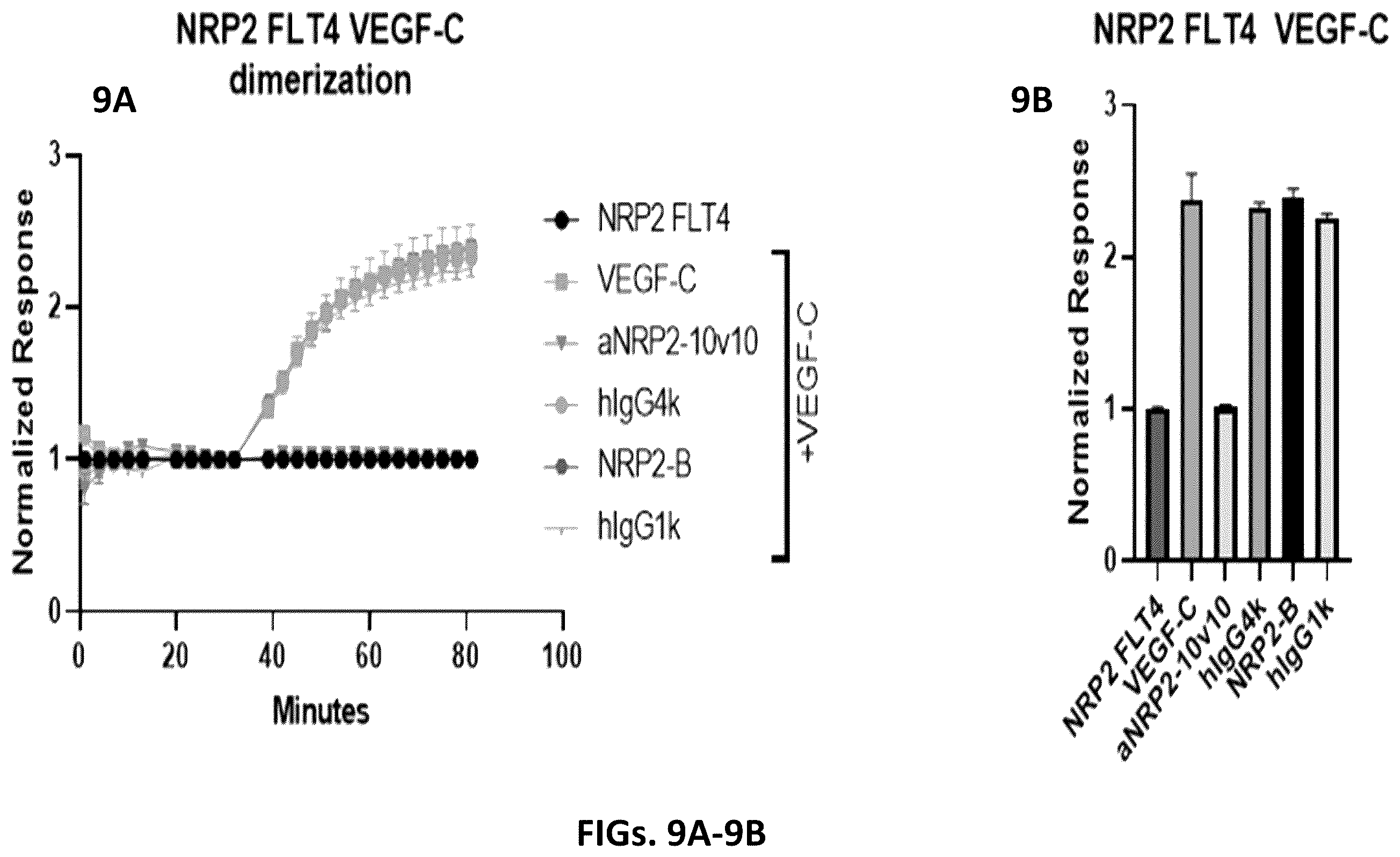 Patent US12410253 Figure 9 – Compositions comprising anti-NRP2 antibodies