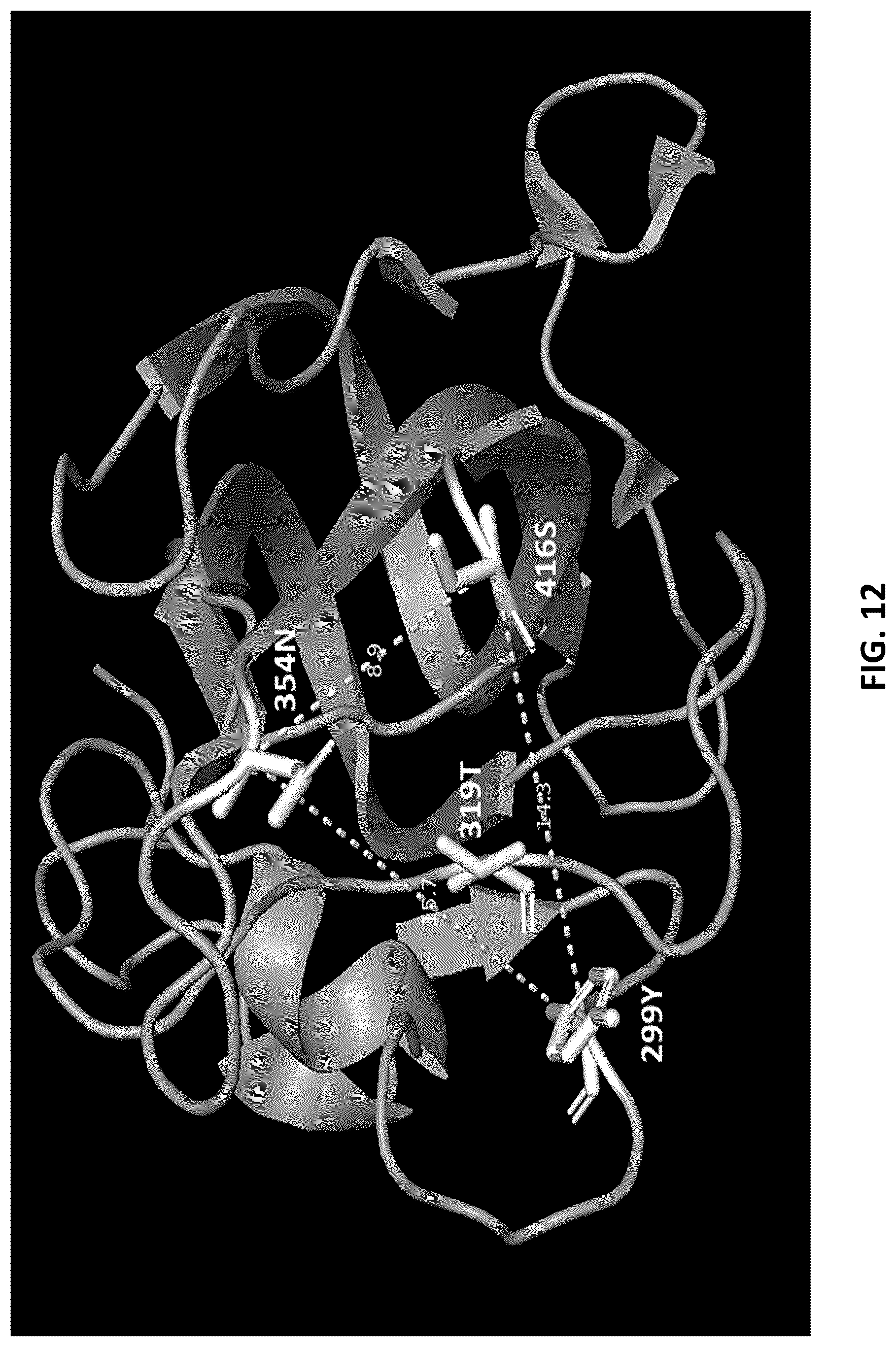Patent US12410253 Figure 12 – Compositions comprising anti-NRP2 antibodies