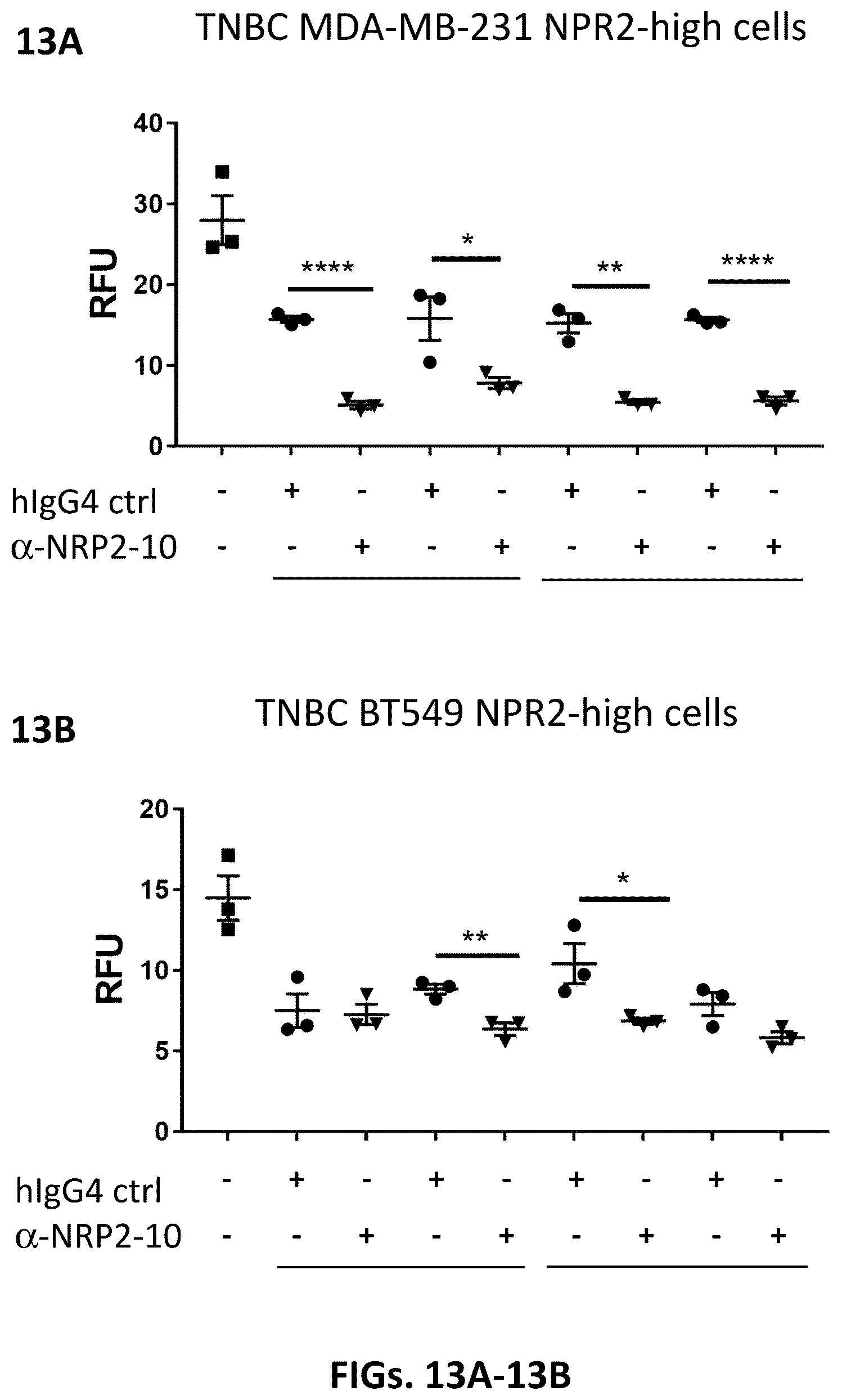 Patent US12410253 Figure 13 – Compositions comprising anti-NRP2 antibodies