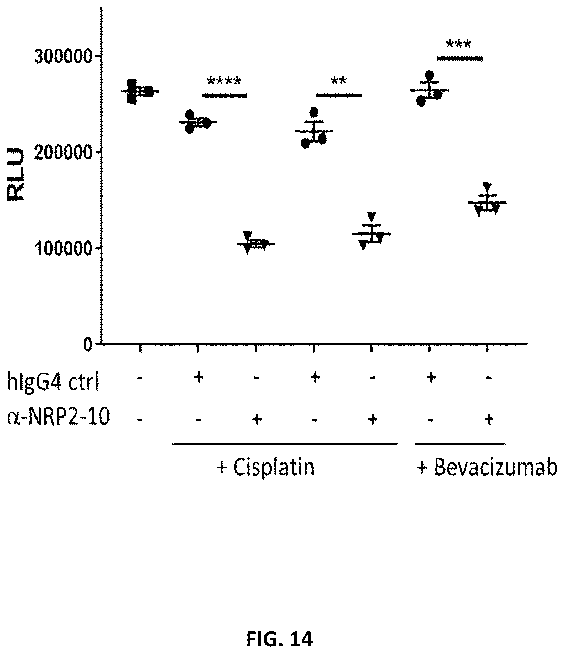 Patent US12410253 Figure 14 – Compositions comprising anti-NRP2 antibodies