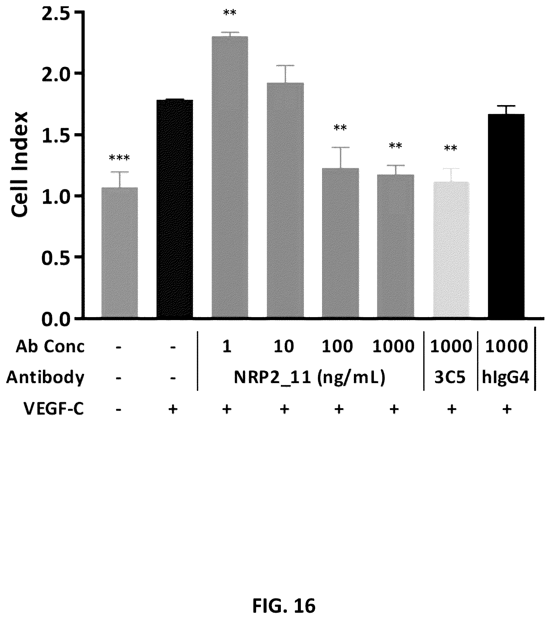 Patent US12410253 Figure 16 – Compositions comprising anti-NRP2 antibodies