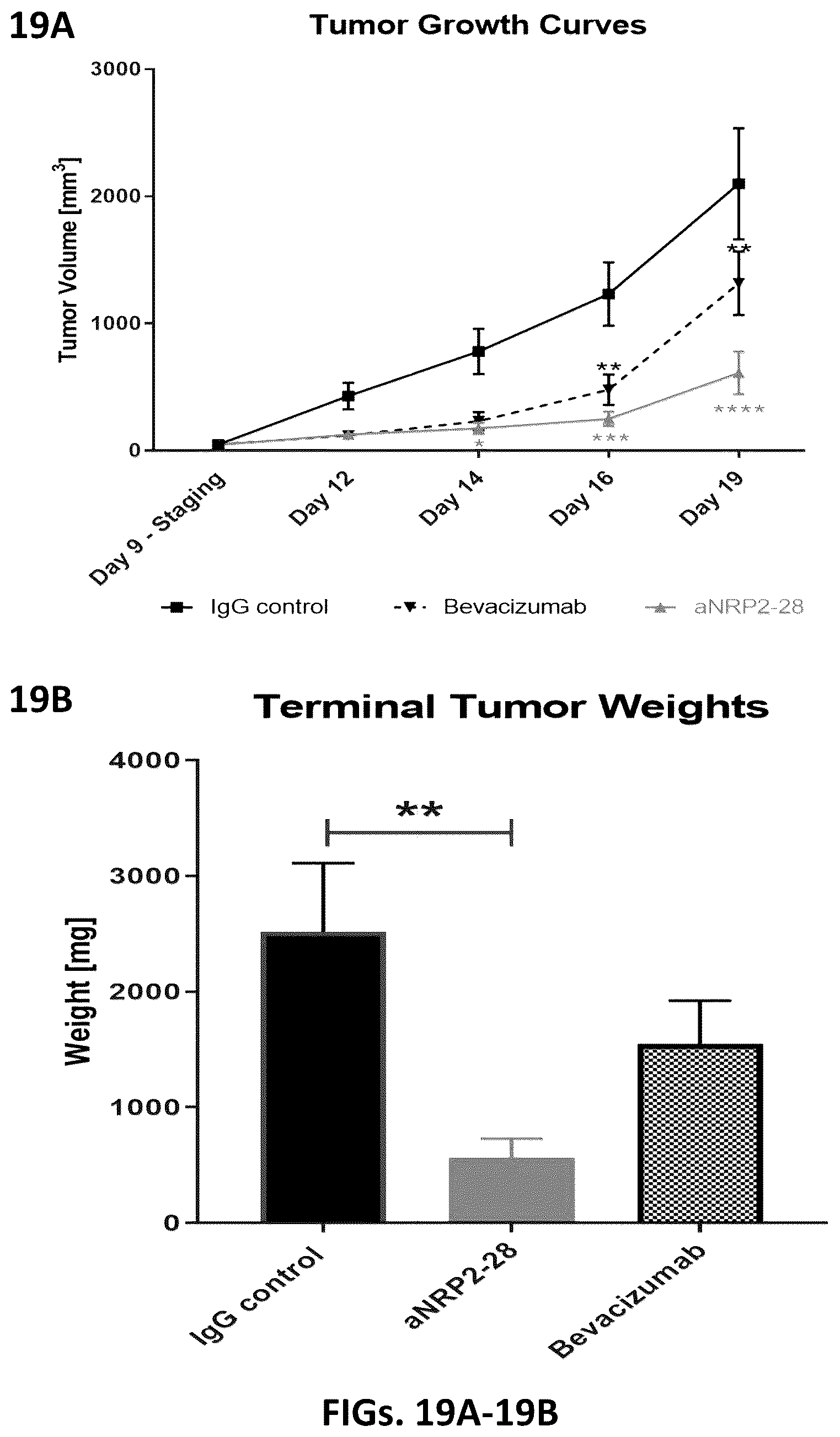 Patent US12410253 Figure 19 – Compositions comprising anti-NRP2 antibodies