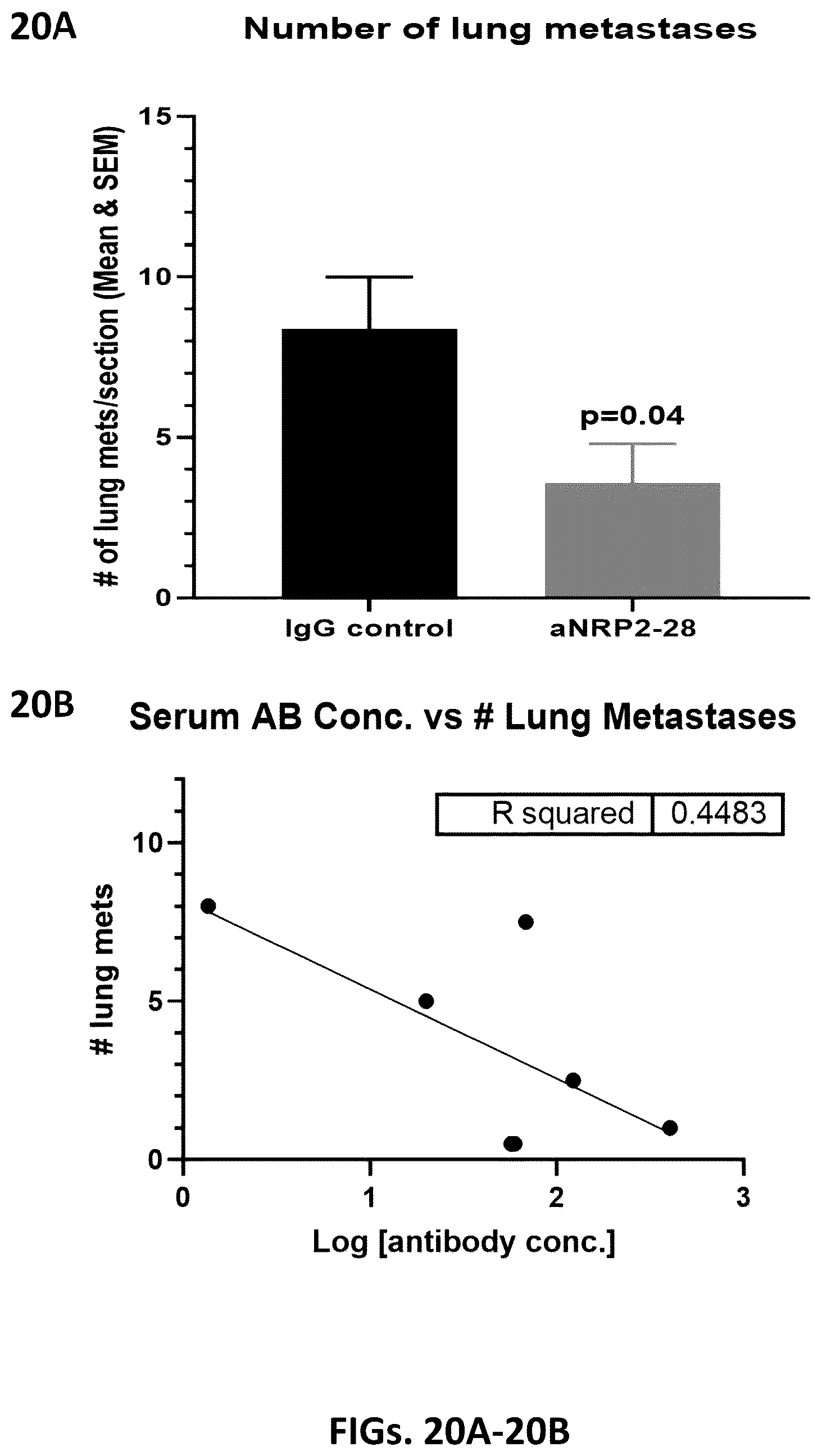 Patent US12410253 Figure 20 – Compositions comprising anti-NRP2 antibodies