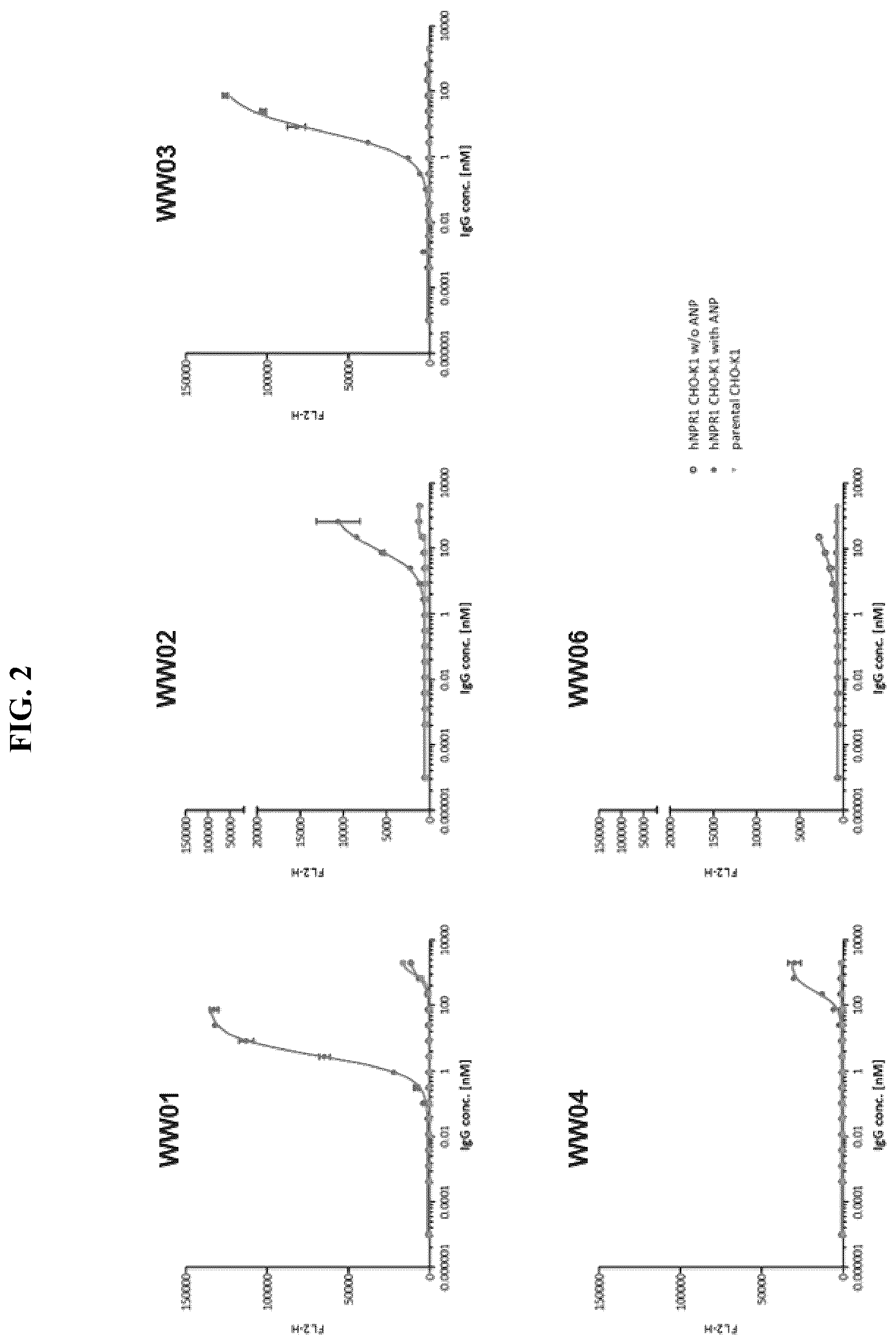 Patent US12410255 Figure 2 – Natriuretic peptide receptor 1 antibodies and methods of use
