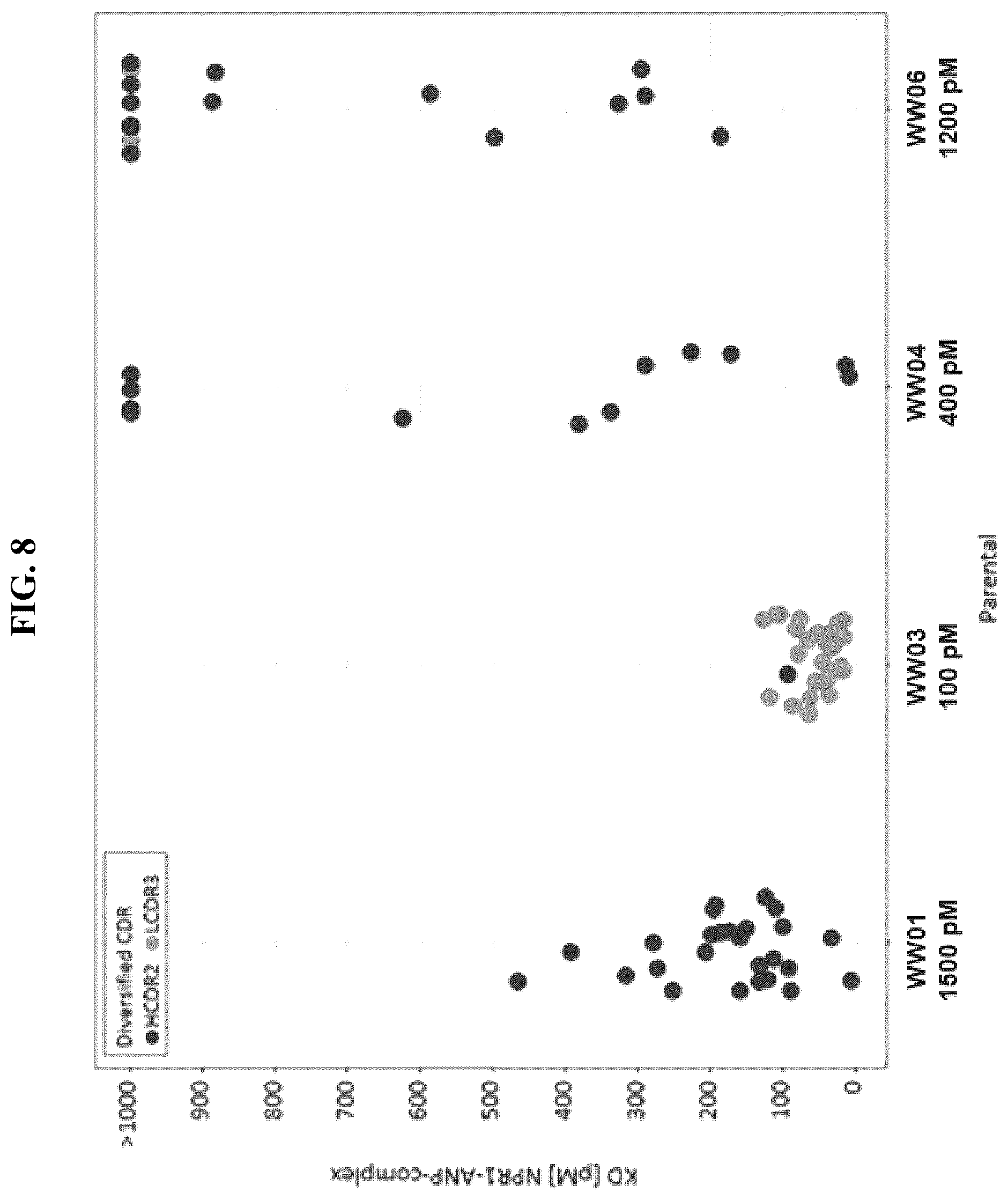 Patent US12410255 Figure 8 – Natriuretic peptide receptor 1 antibodies and methods of use