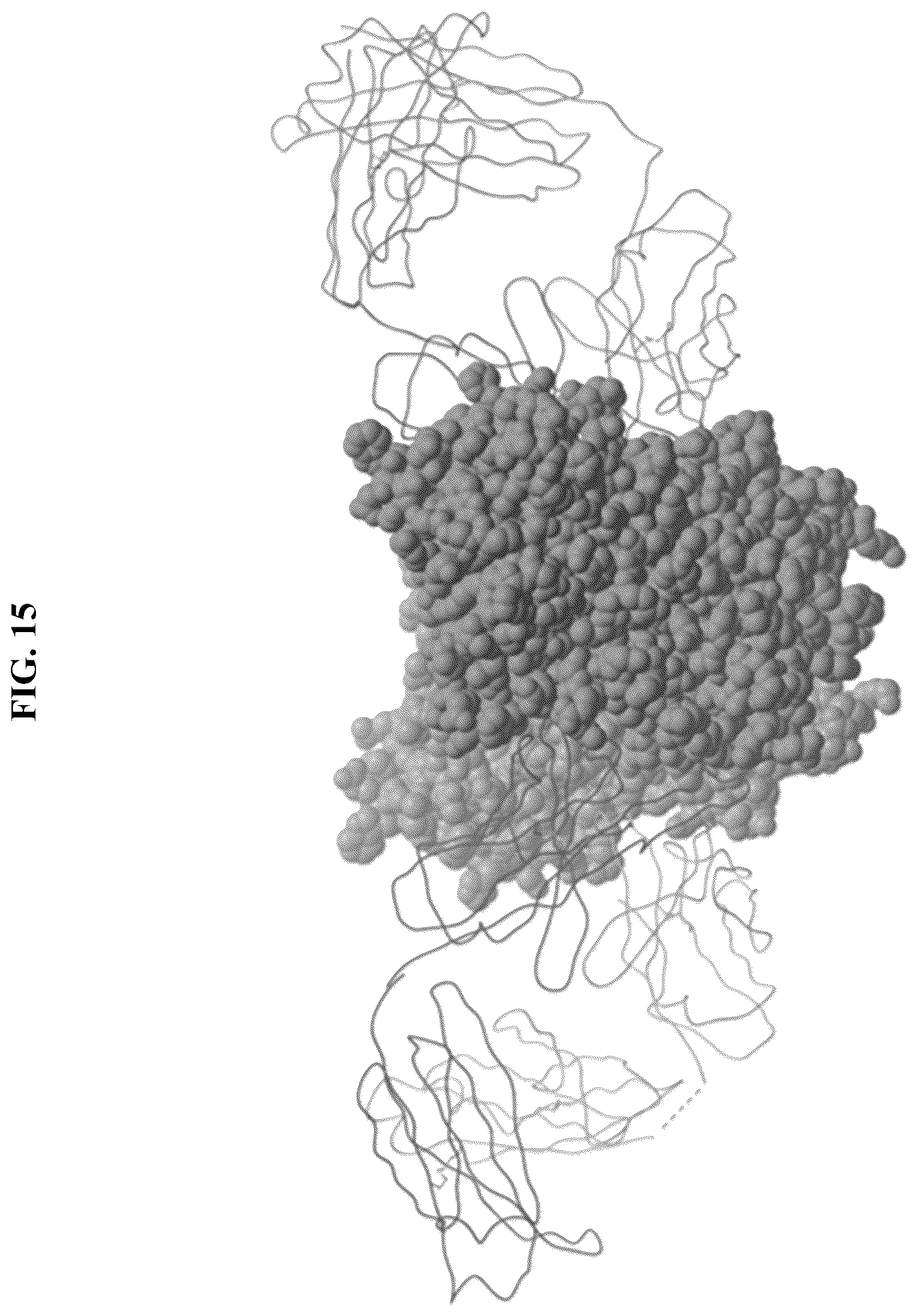Patent US12410255 Figure 20 – Natriuretic peptide receptor 1 antibodies and methods of use