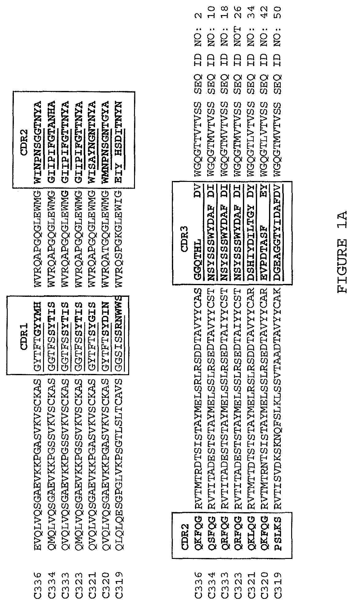Patent US12410256 Figure 1 – Antibodies that specifically bind to TL1a and methods of treating gastrointestinal or lung diseases