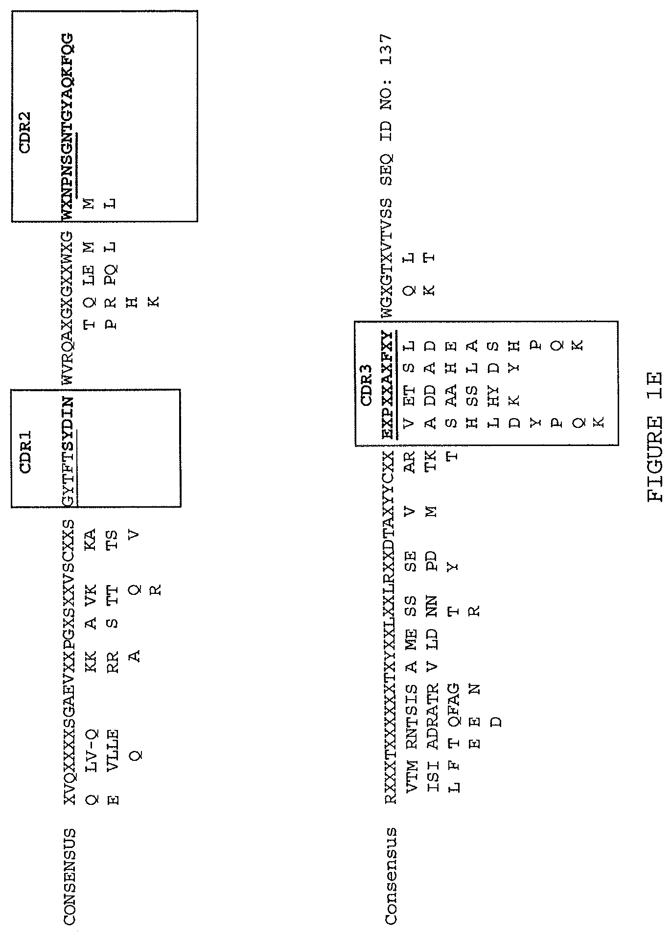 Patent US12410256 Figure 5 – Antibodies that specifically bind to TL1a and methods of treating gastrointestinal or lung diseases