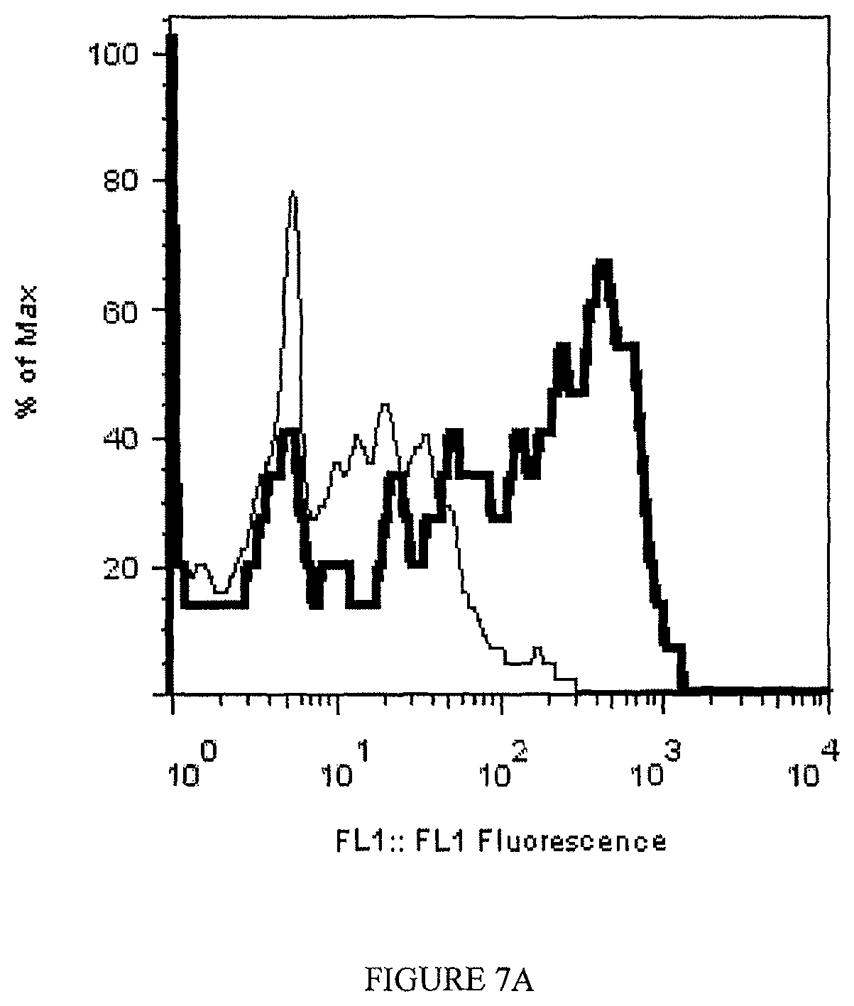 Patent US12410256 Figure 20 – Antibodies that specifically bind to TL1a and methods of treating gastrointestinal or lung diseases