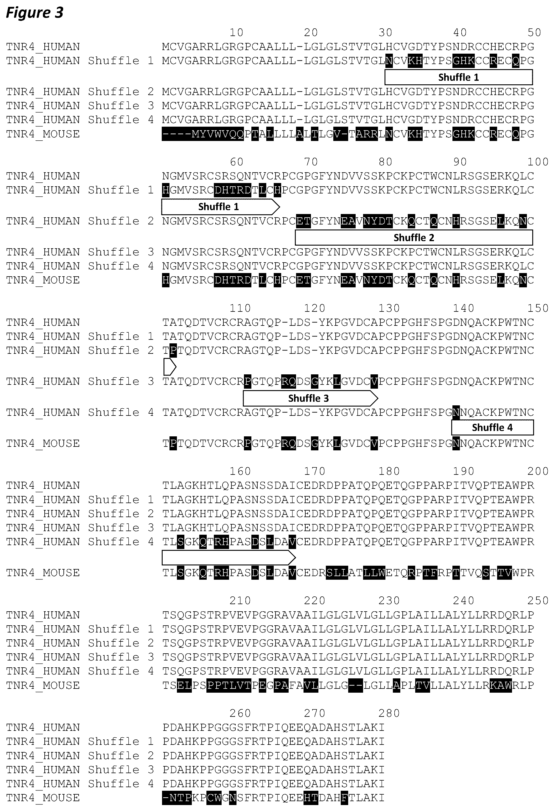 Patent US12410258 Figure 4 – Antibodies capable of binding to OX40, variants thereof and uses thereof