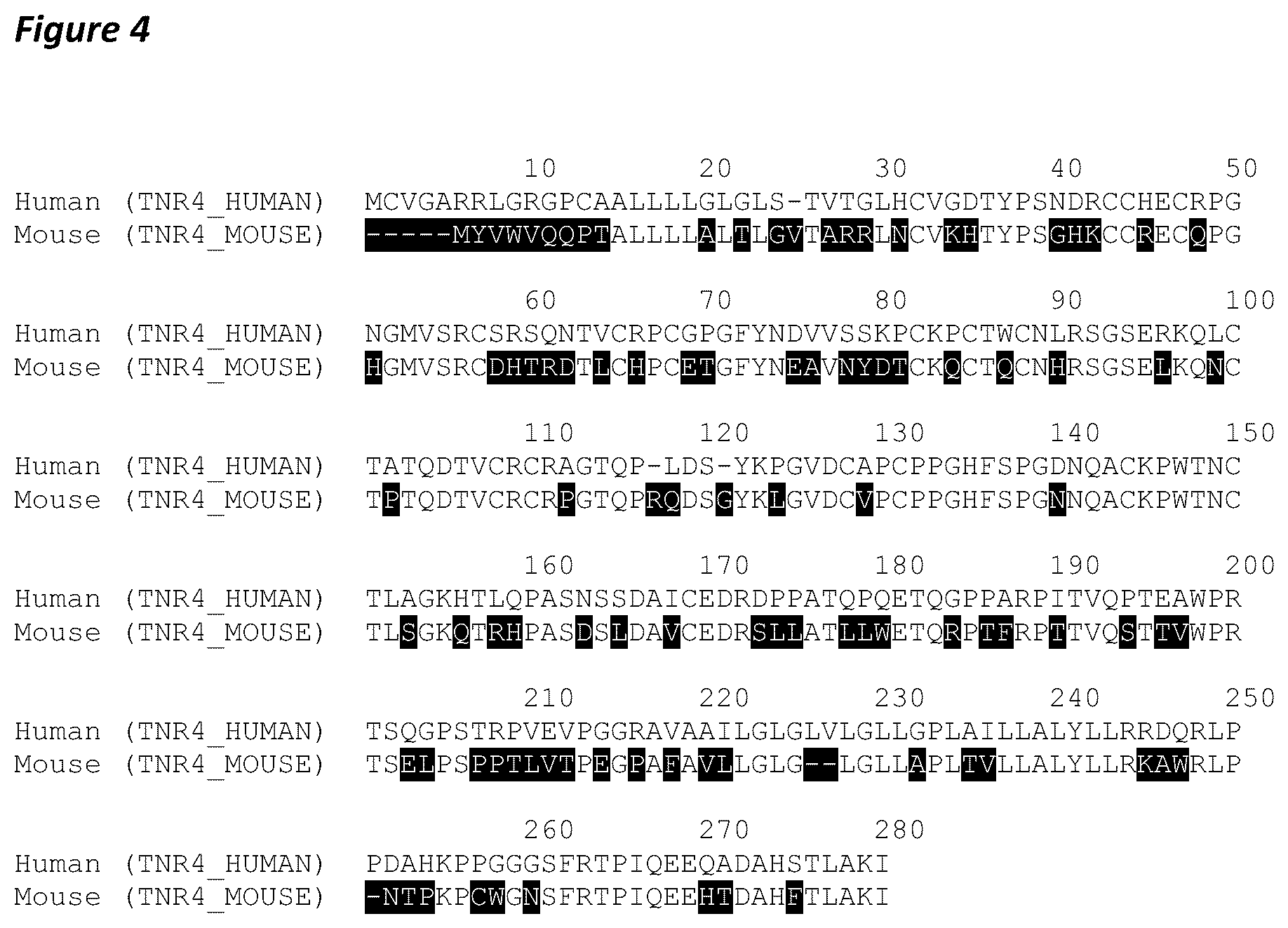 Patent US12410258 Figure 5 – Antibodies capable of binding to OX40, variants thereof and uses thereof
