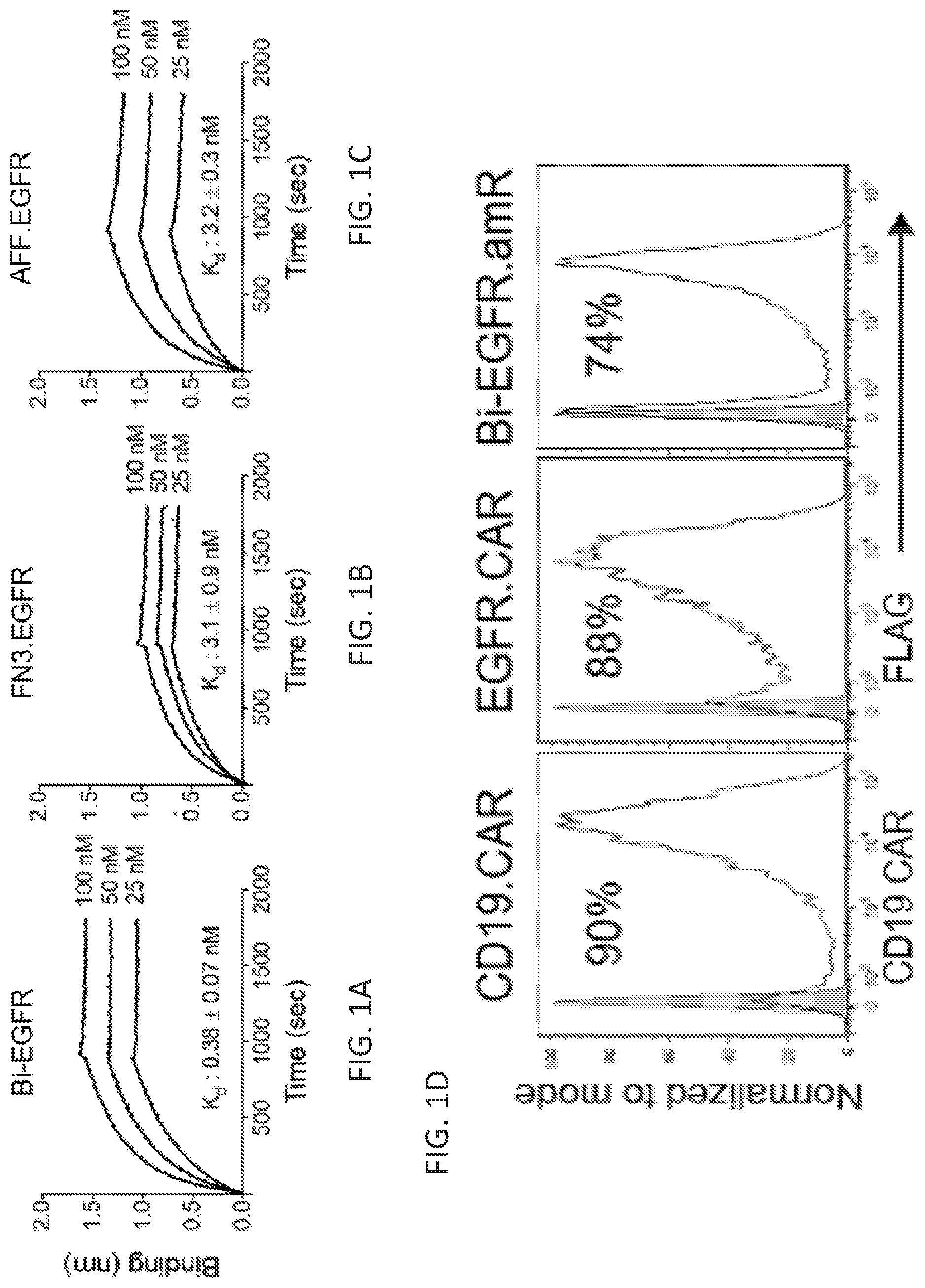 Patent US12410260 — Highly modular biepitopic and bispecific CAR-T cells for cancer immunotherapy — Figure 1
