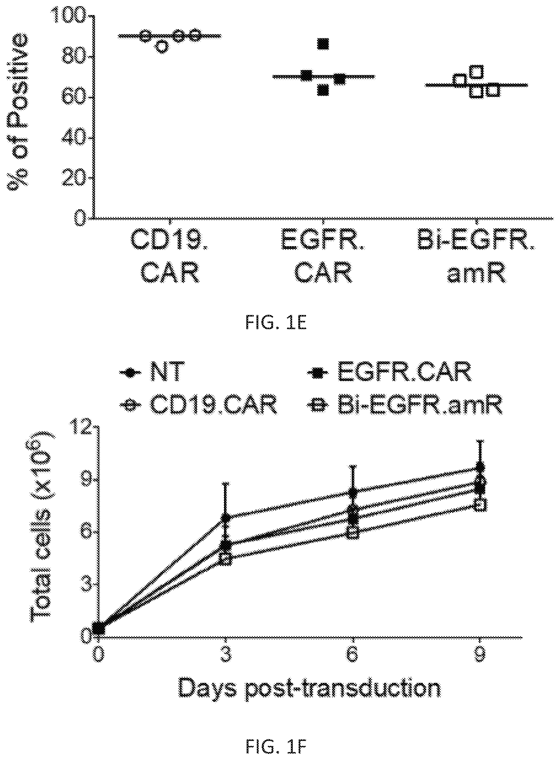 Patent US12410260 Figure 2 – Highly modular biepitopic and bispecific CAR-T cells for cancer immunotherapy