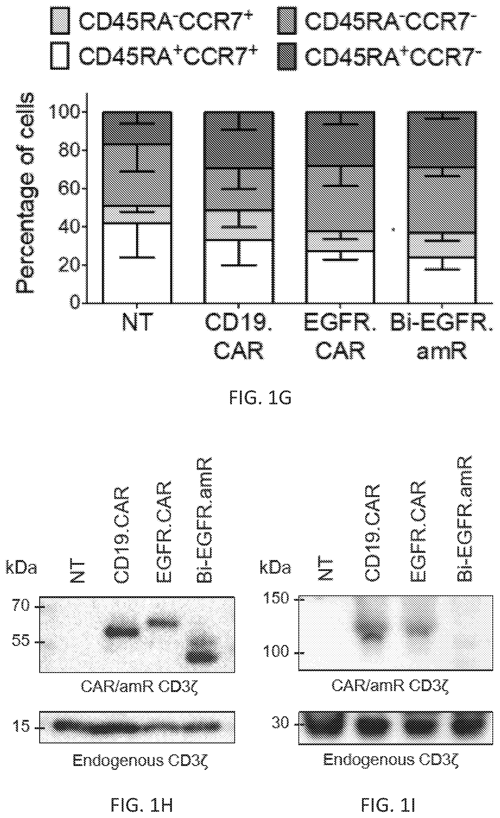 Patent US12410260 Figure 3 – Highly modular biepitopic and bispecific CAR-T cells for cancer immunotherapy