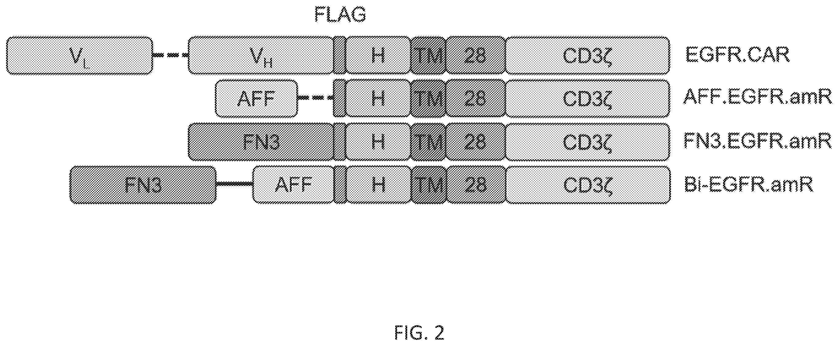 Patent US12410260 Figure 5 – Highly modular biepitopic and bispecific CAR-T cells for cancer immunotherapy