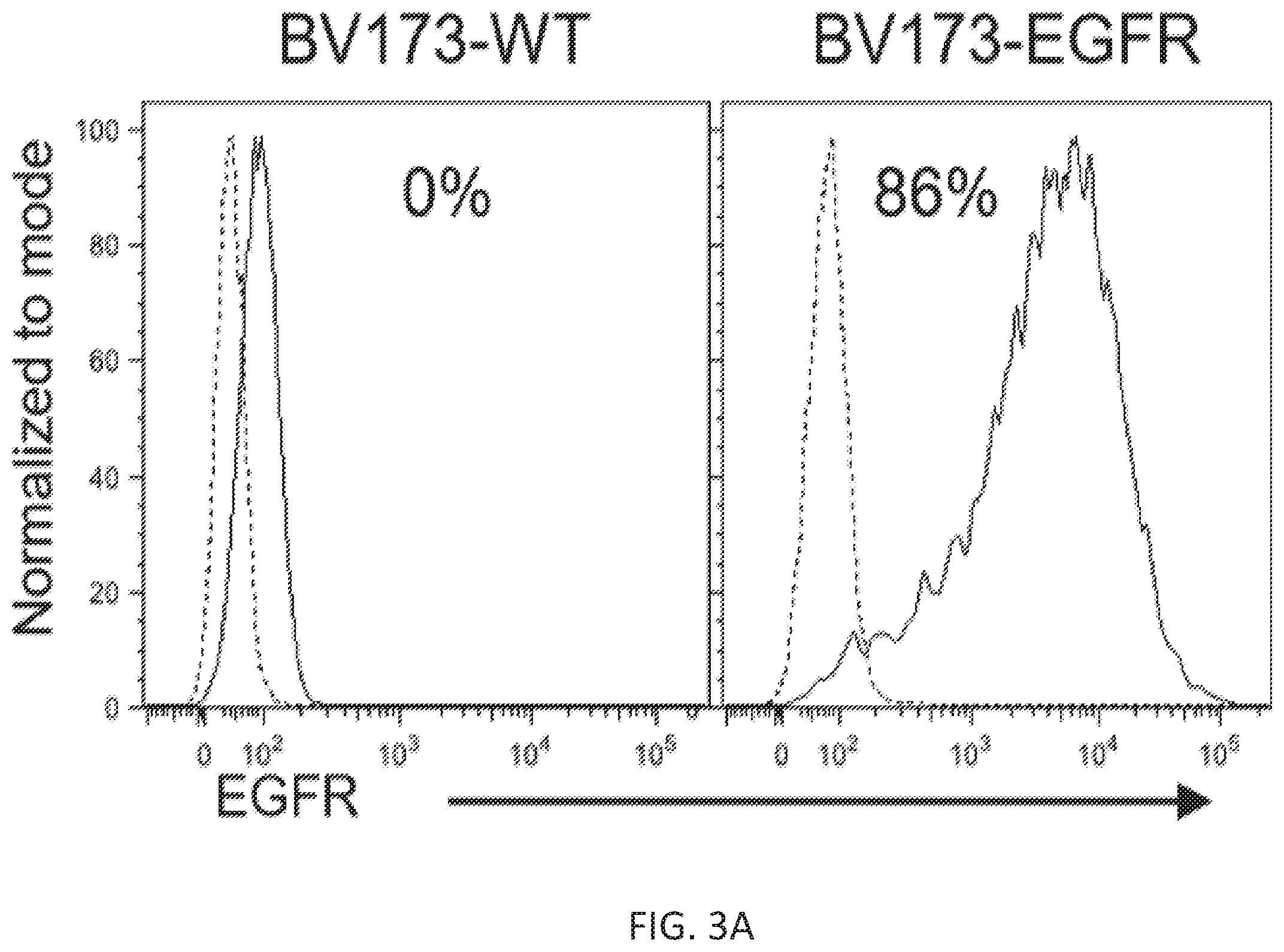 Patent US12410260 Figure 6 – Highly modular biepitopic and bispecific CAR-T cells for cancer immunotherapy