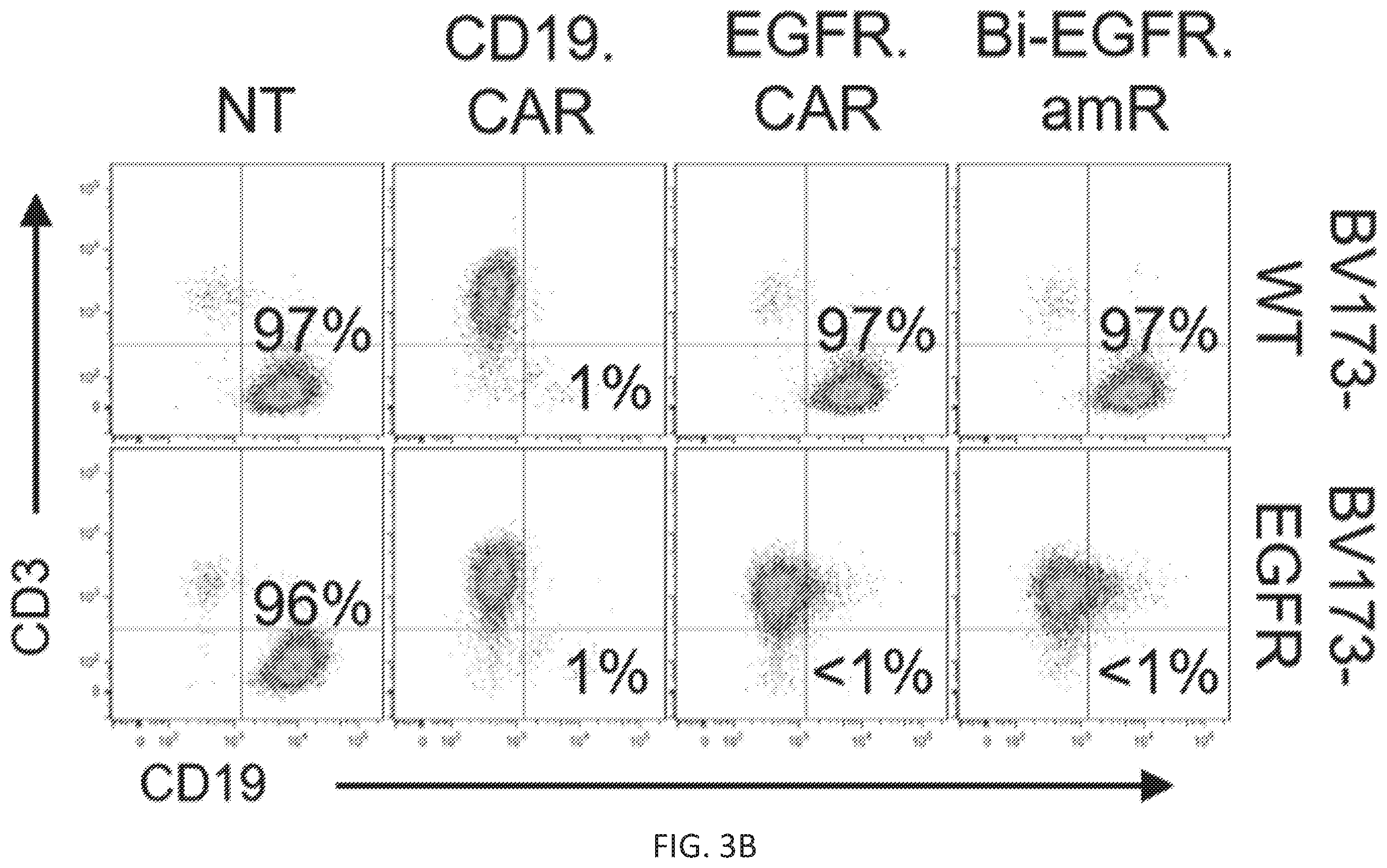 Patent US12410260 Figure 7 – Highly modular biepitopic and bispecific CAR-T cells for cancer immunotherapy