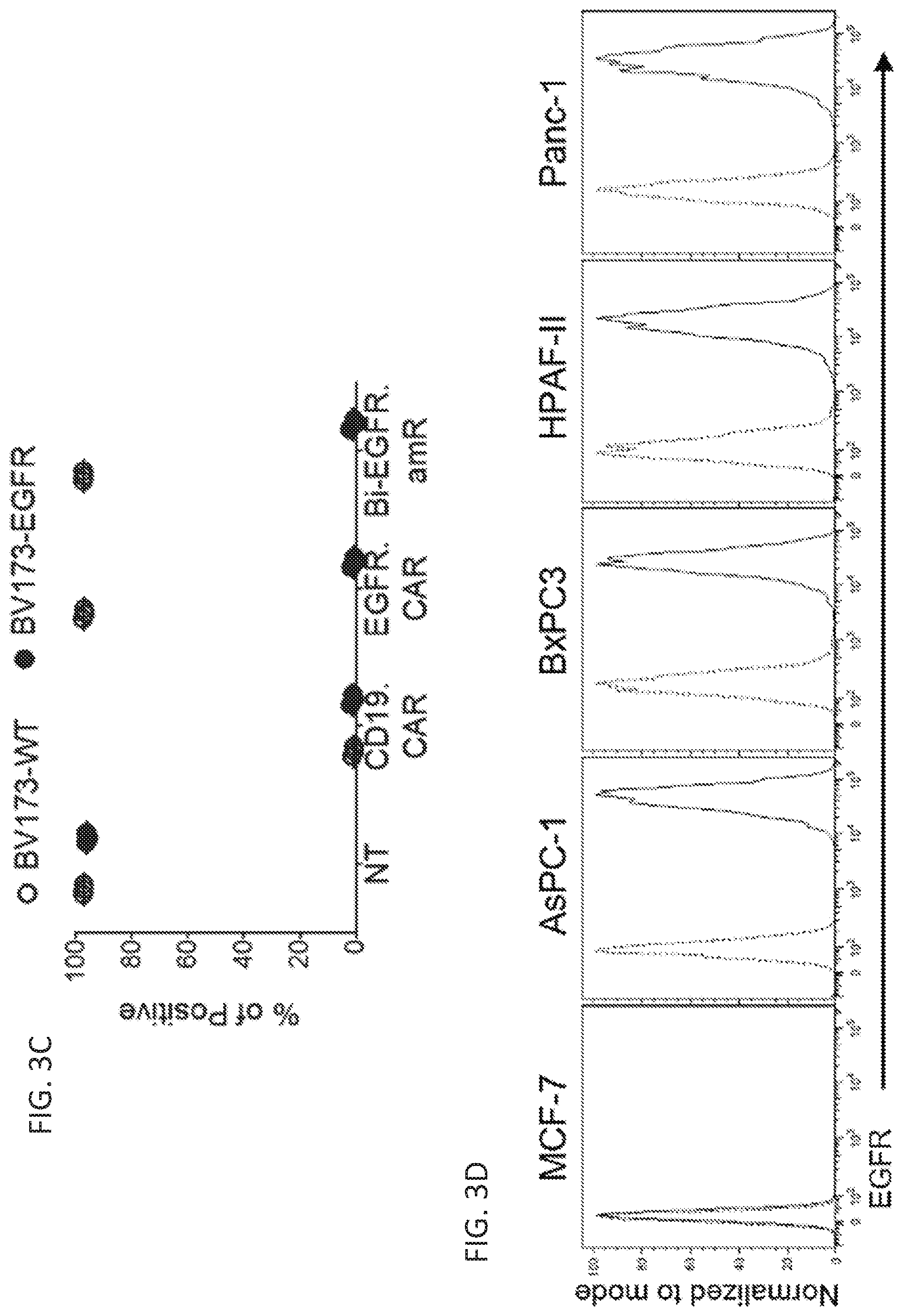 Patent US12410260 Figure 8 – Highly modular biepitopic and bispecific CAR-T cells for cancer immunotherapy