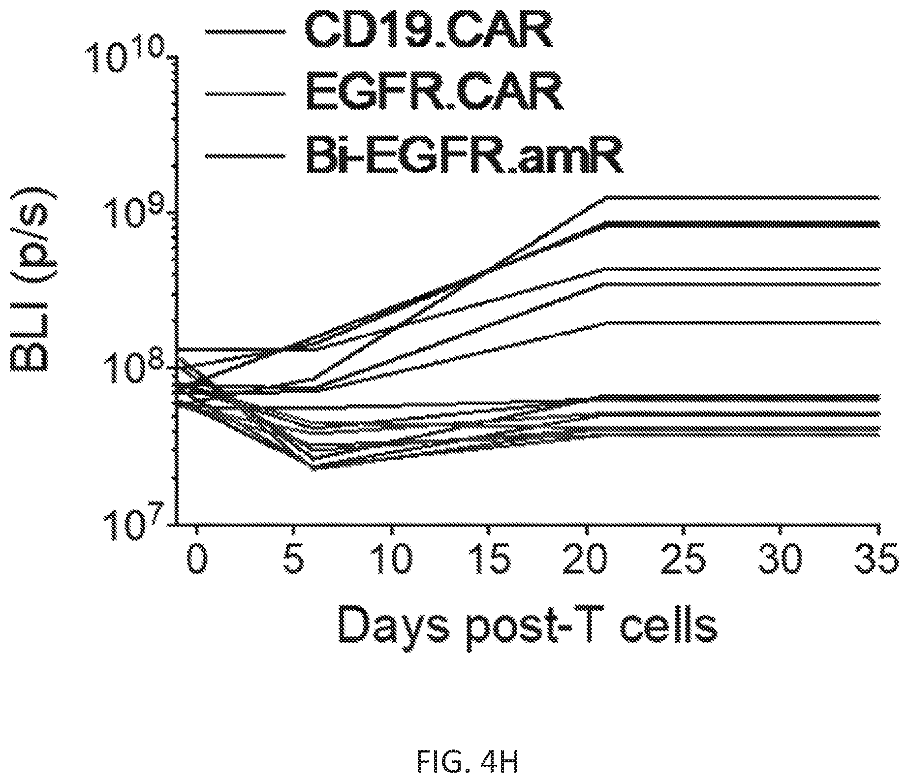 Patent US12410260 Figure 12 – Highly modular biepitopic and bispecific CAR-T cells for cancer immunotherapy