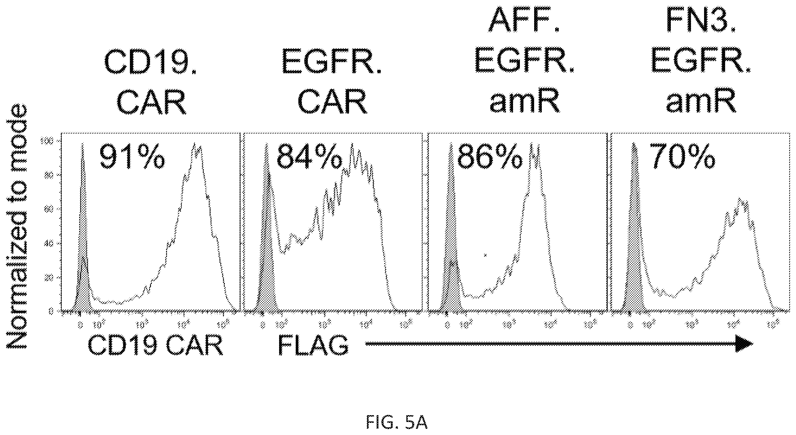 Patent US12410260 Figure 13 – Highly modular biepitopic and bispecific CAR-T cells for cancer immunotherapy