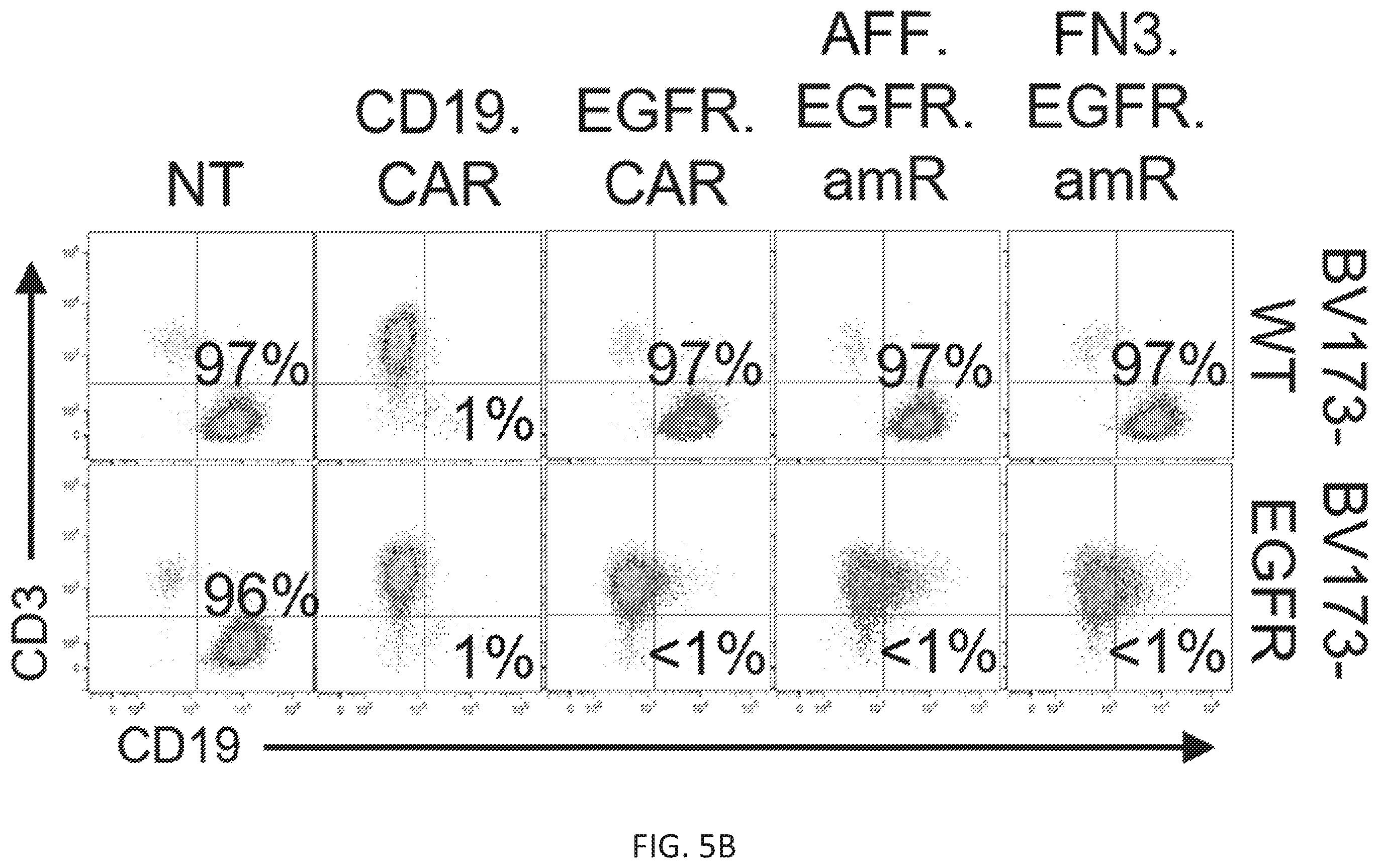 Patent US12410260 Figure 14 – Highly modular biepitopic and bispecific CAR-T cells for cancer immunotherapy