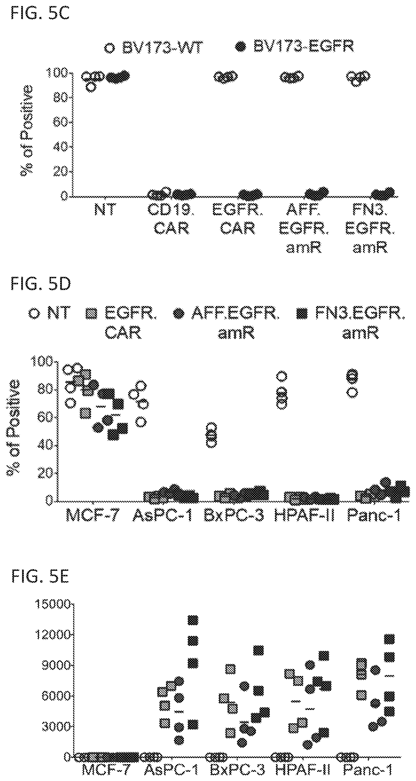 Patent US12410260 Figure 15 – Highly modular biepitopic and bispecific CAR-T cells for cancer immunotherapy