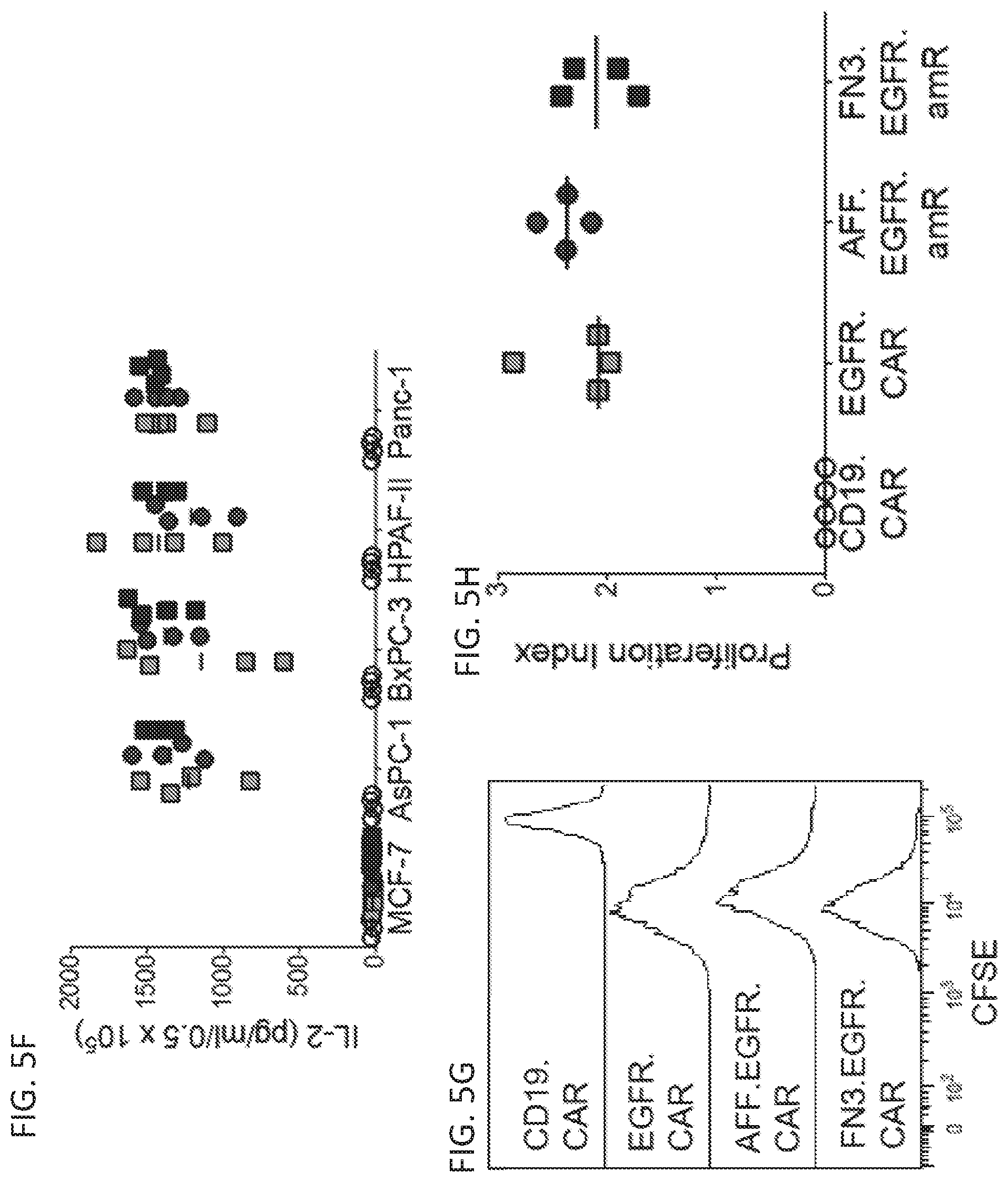 Patent US12410260 Figure 16 – Highly modular biepitopic and bispecific CAR-T cells for cancer immunotherapy