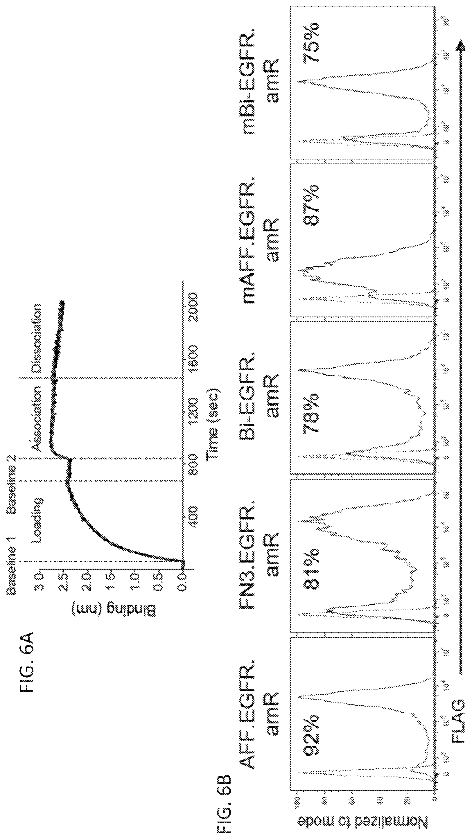 Patent US12410260 Figure 17 – Highly modular biepitopic and bispecific CAR-T cells for cancer immunotherapy
