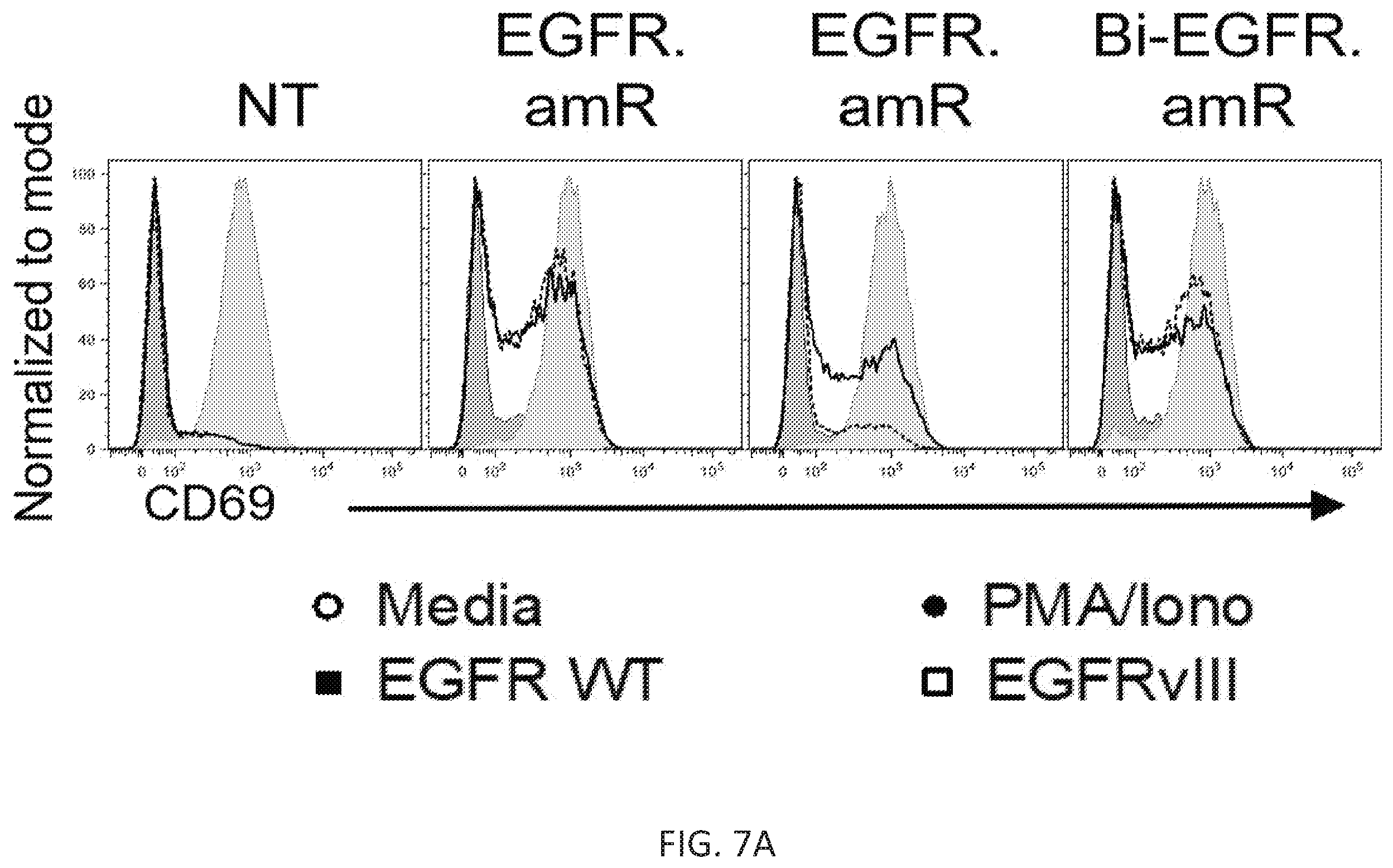 Patent US12410260 Figure 19 – Highly modular biepitopic and bispecific CAR-T cells for cancer immunotherapy