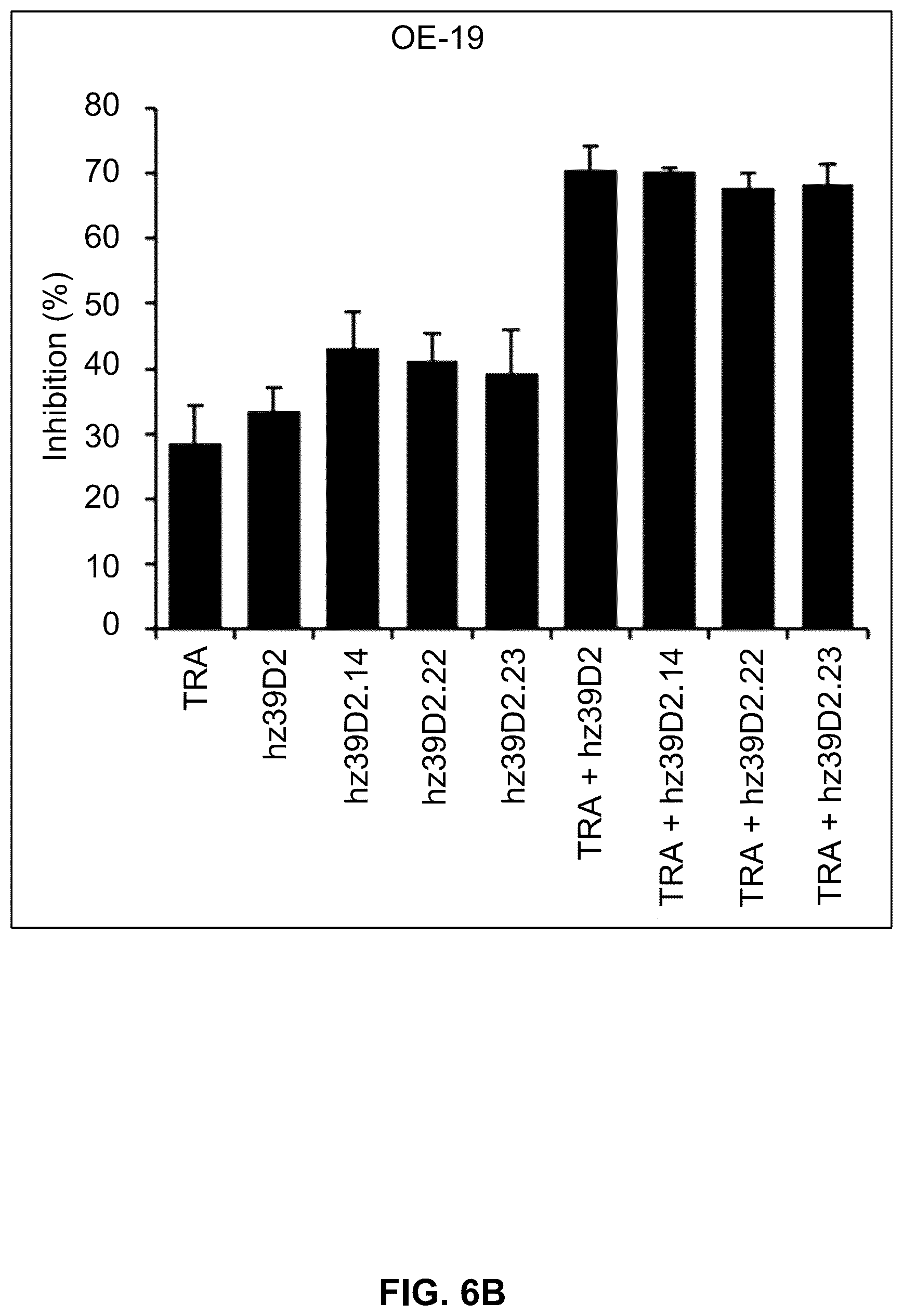 Patent US12410261 Figure 14 – Anti-HER2 antibody or antigen-binding fragment thereof, and chimeric antigen receptor comprising same