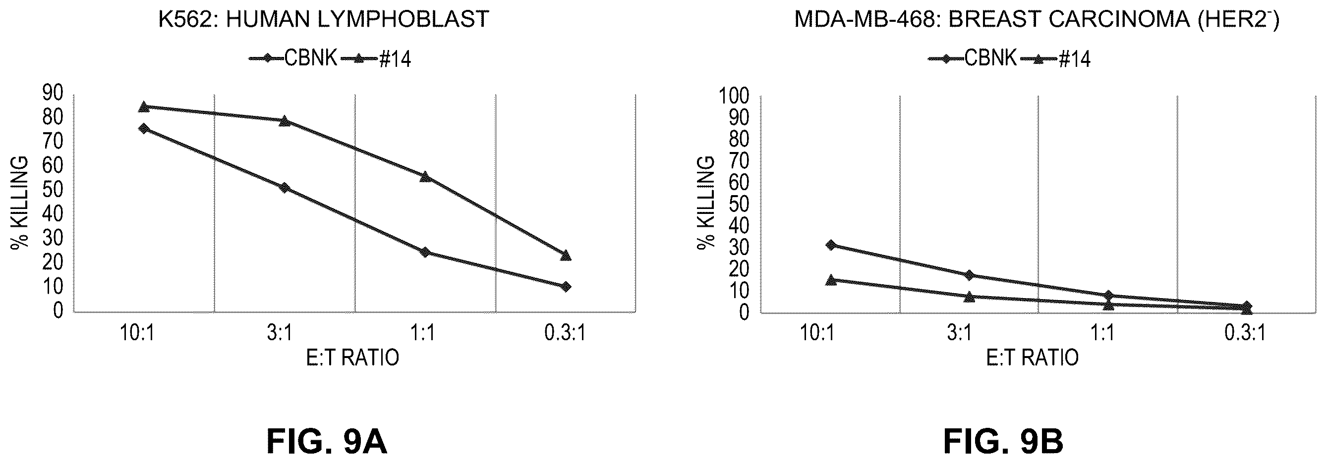 Patent US12410261 Figure 18 – Anti-HER2 antibody or antigen-binding fragment thereof, and chimeric antigen receptor comprising same