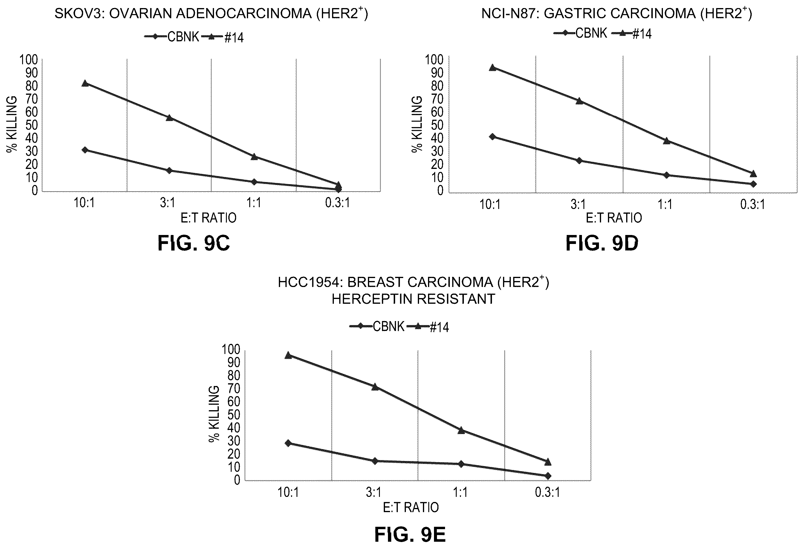 Patent US12410261 Figure 19 – Anti-HER2 antibody or antigen-binding fragment thereof, and chimeric antigen receptor comprising same
