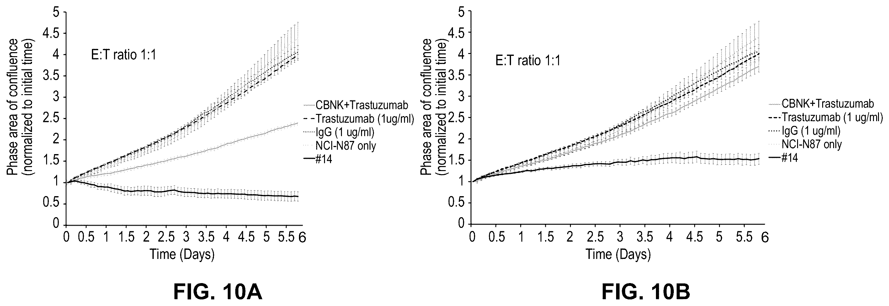 Patent US12410261 Figure 20 – Anti-HER2 antibody or antigen-binding fragment thereof, and chimeric antigen receptor comprising same